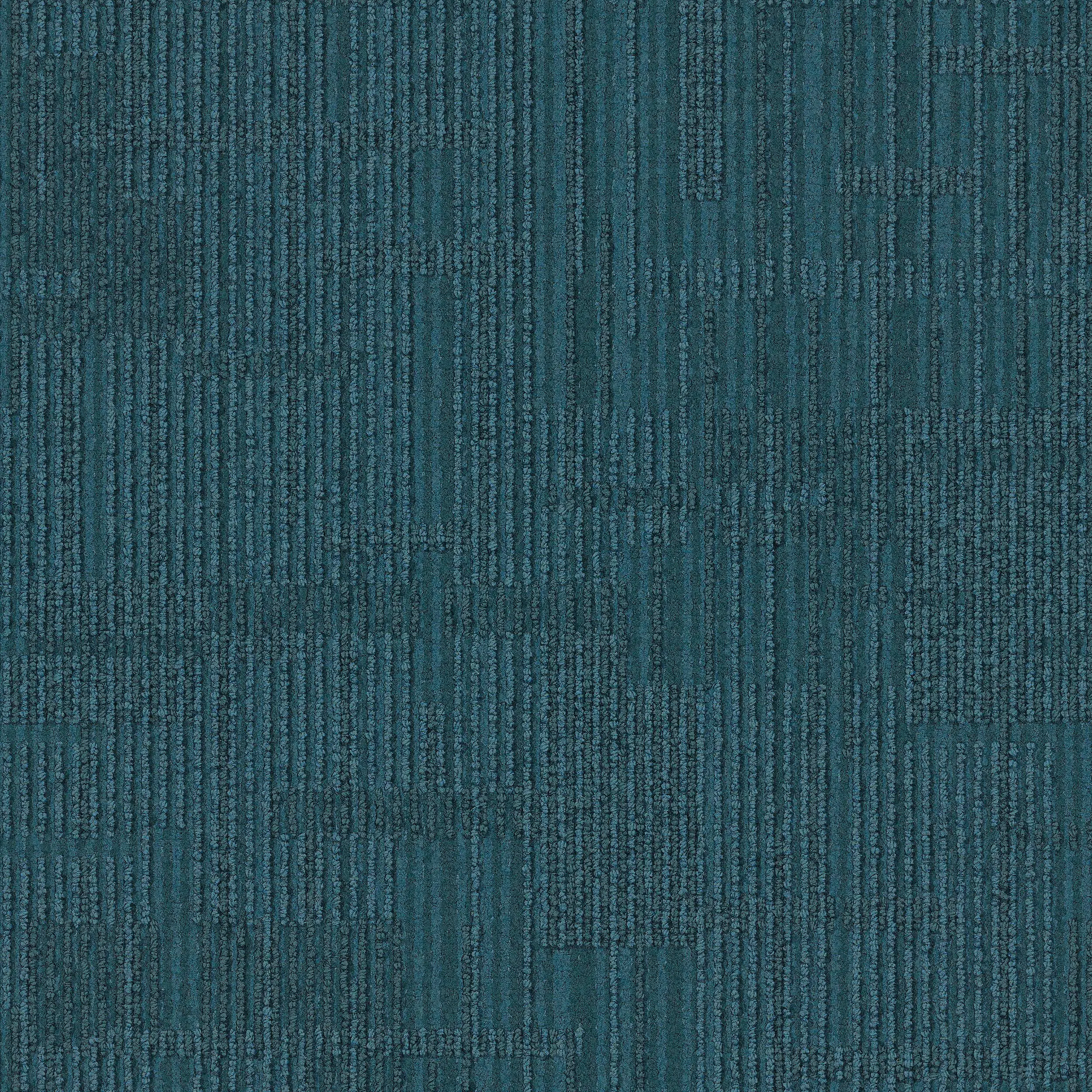Interface USA - Syncopation Canal
