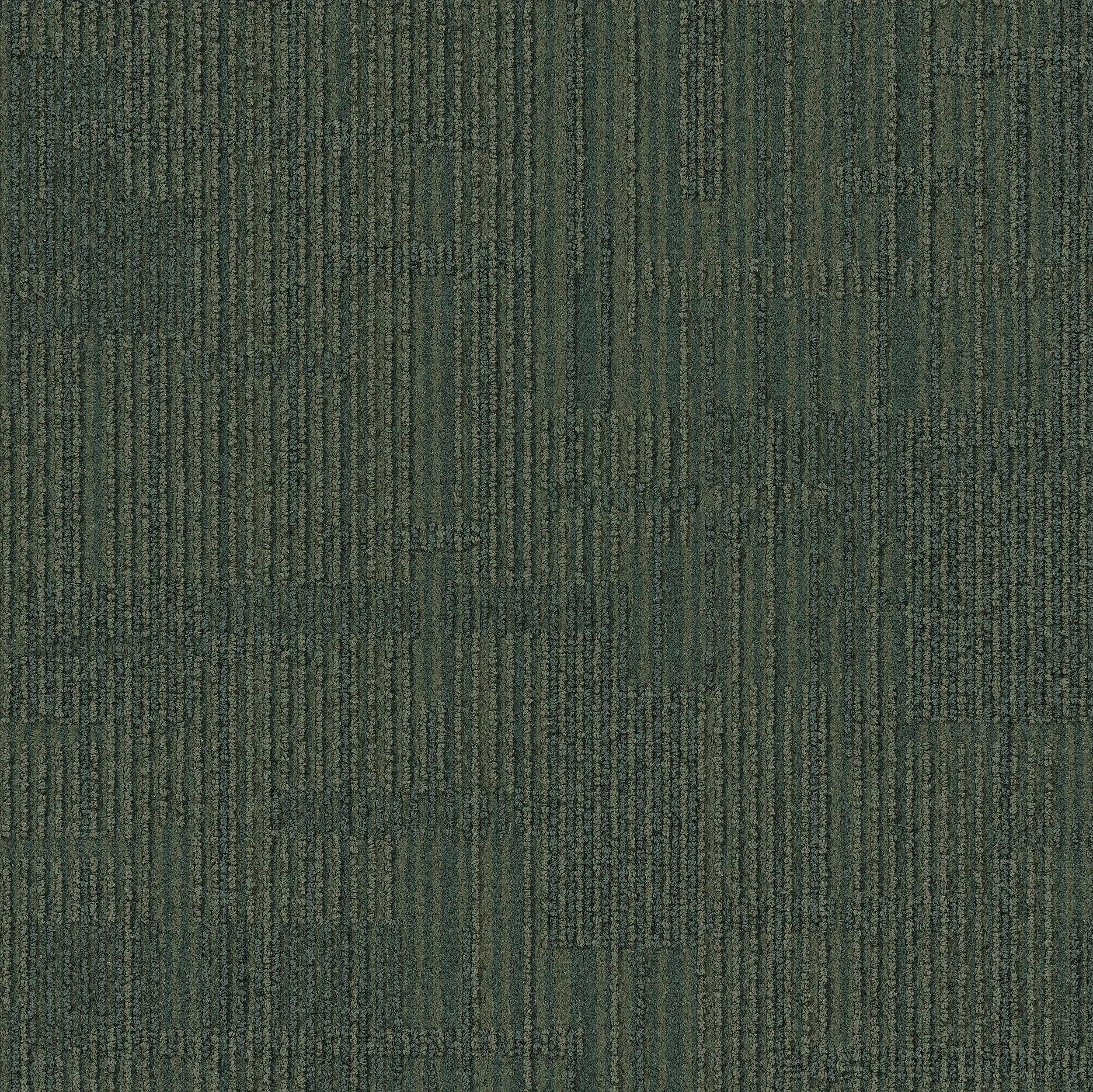 Interface USA - Syncopation Fescue