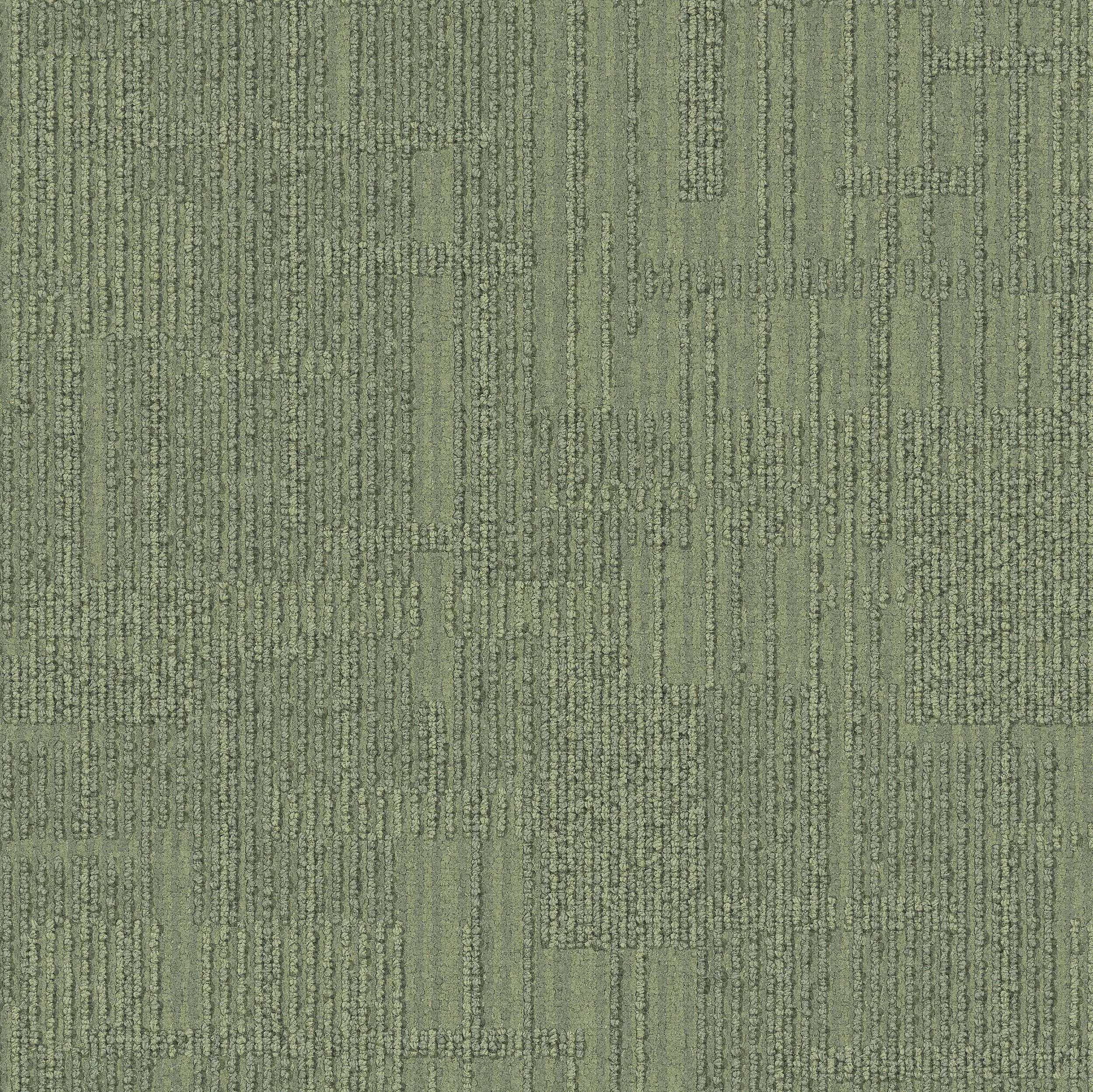 Interface USA - Syncopation Margarita