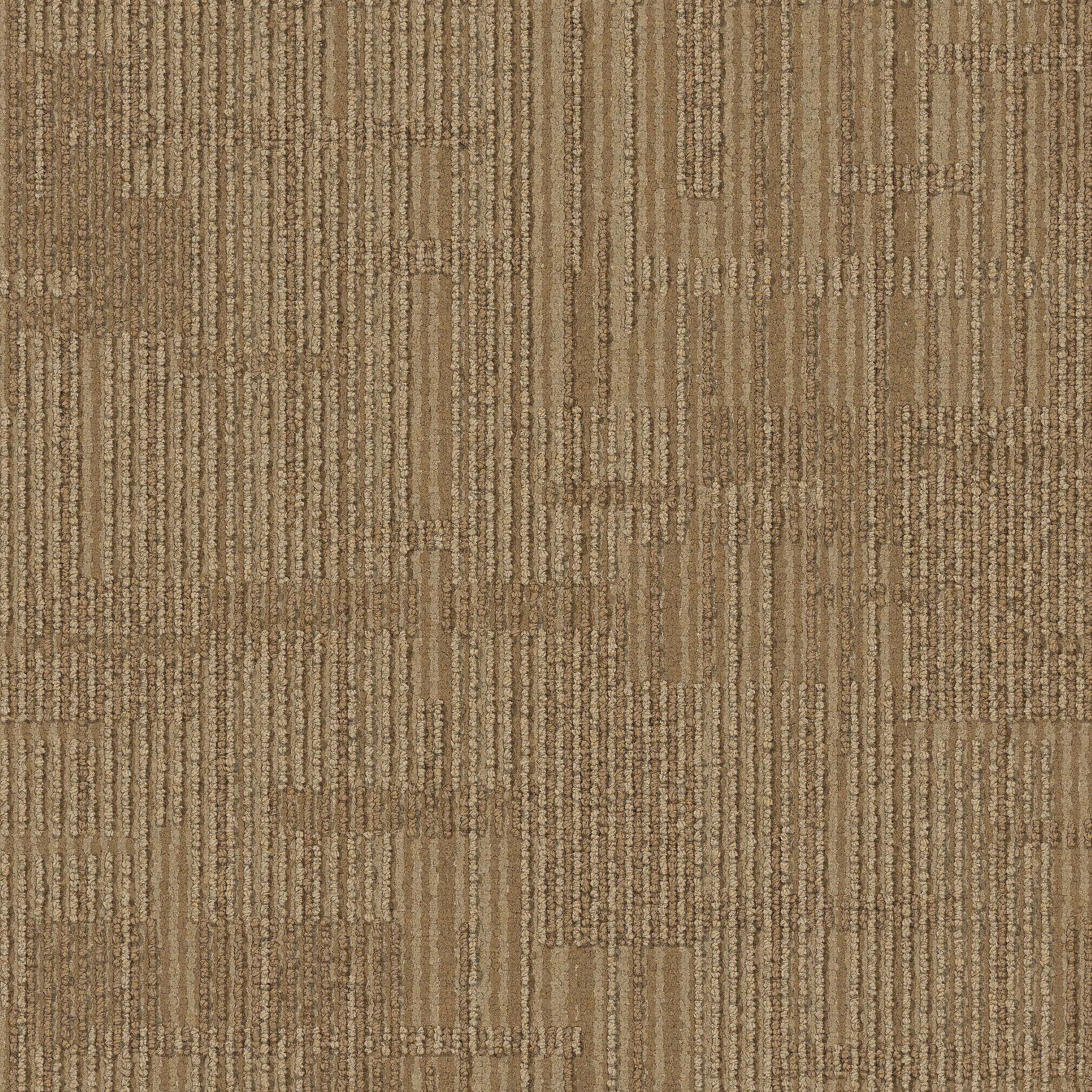 Interface USA - Syncopation Mojave