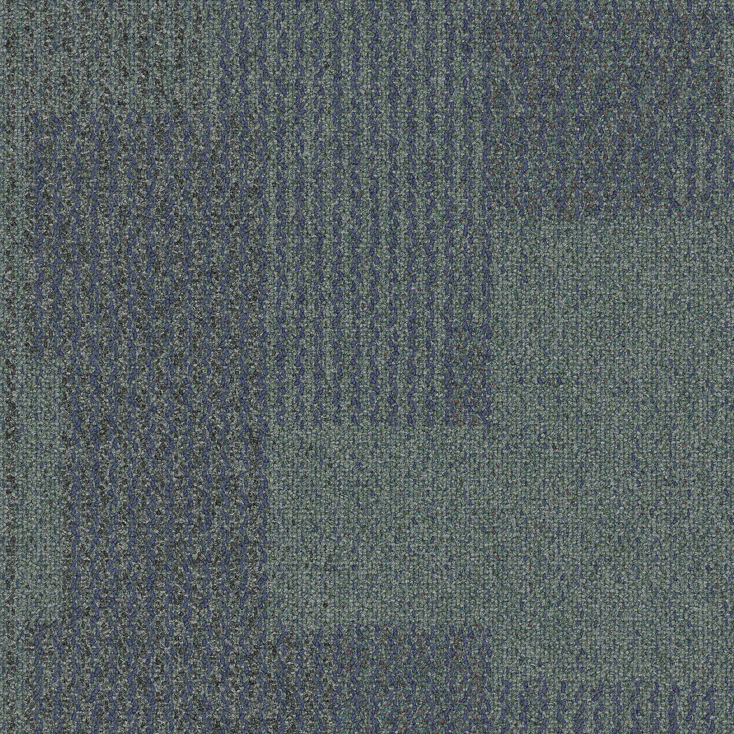 Interface USA - The Standard Bluefish