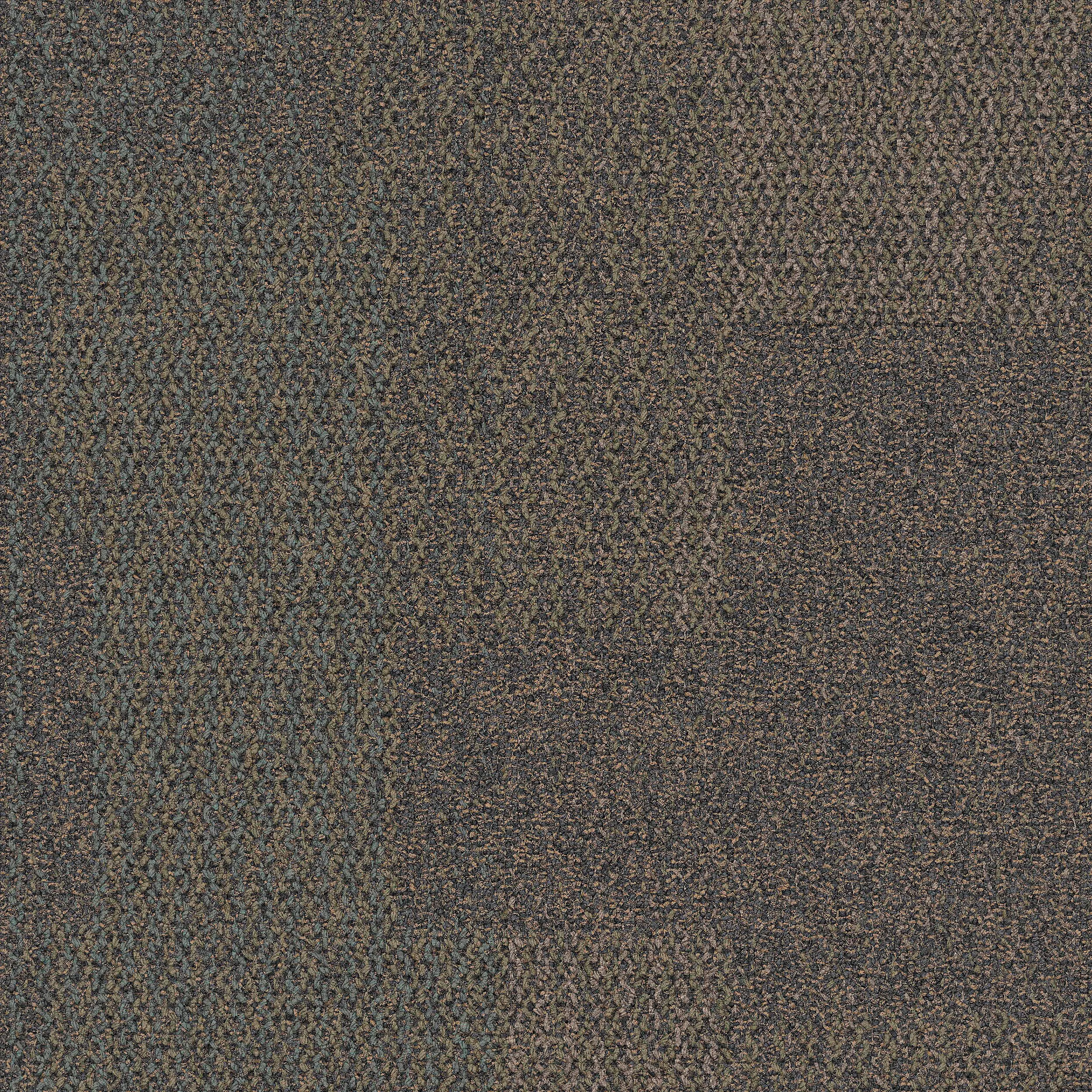 Interface USA - The Standard Mangrove