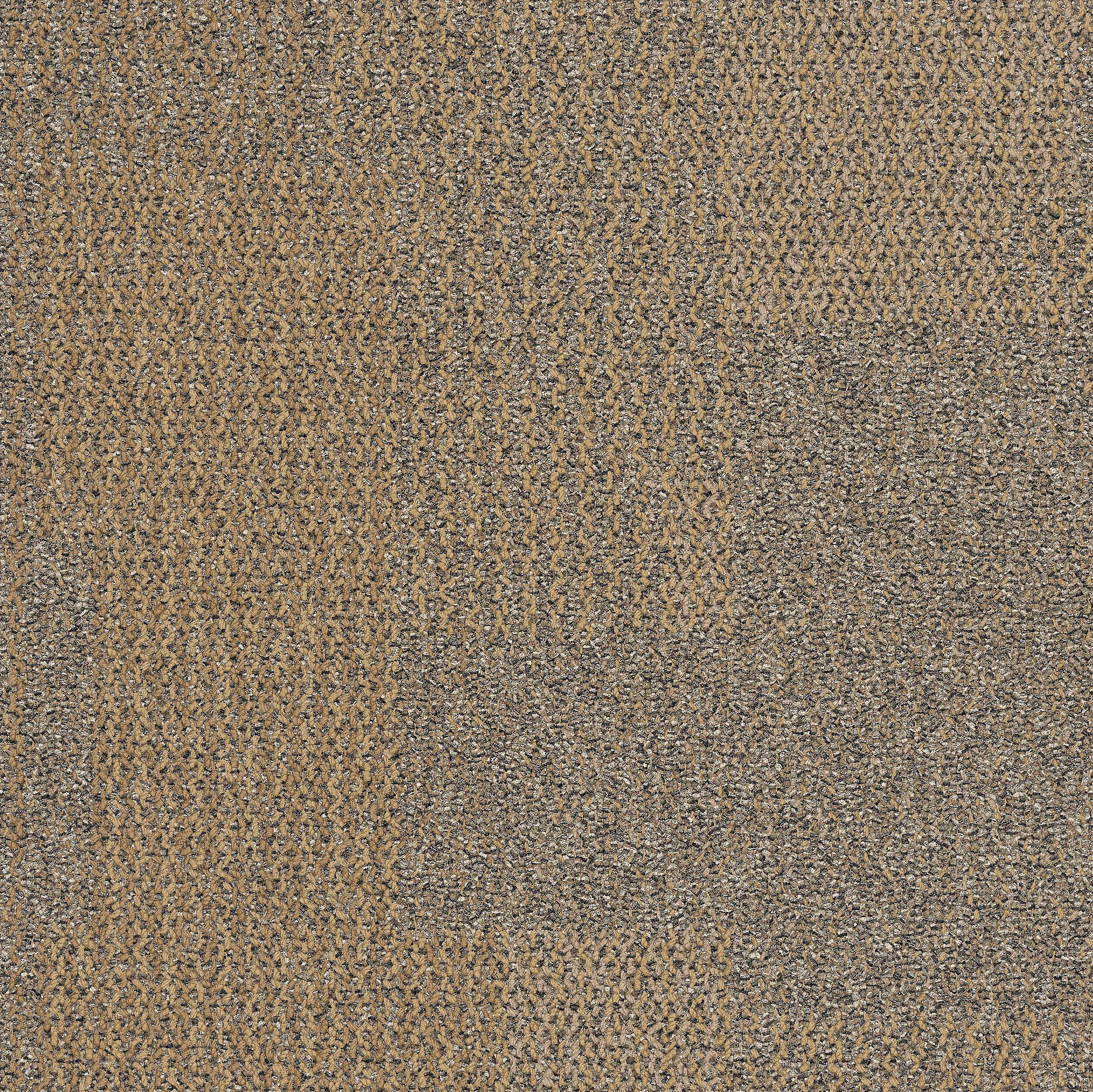 Interface USA - The Standard Raffia