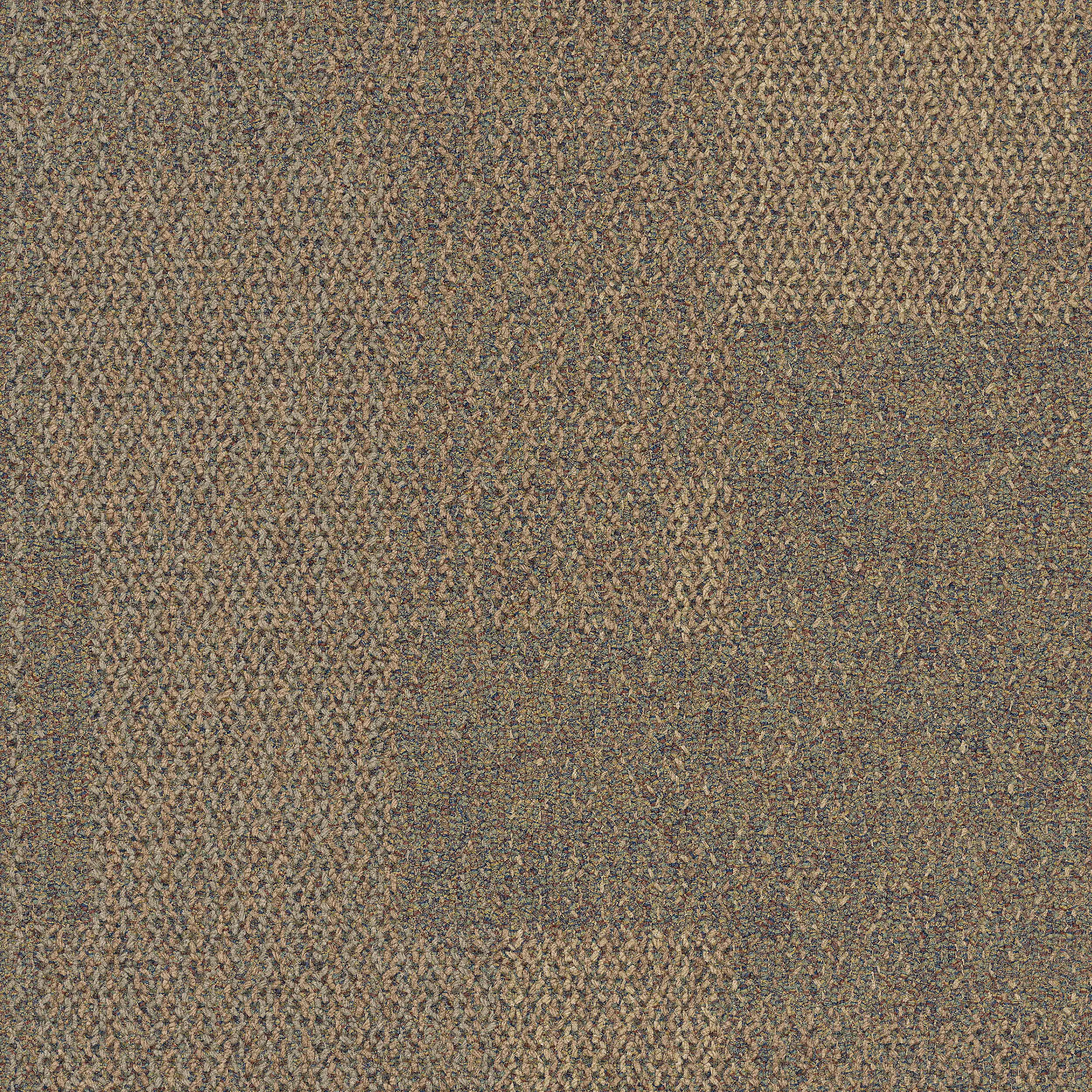 Interface USA - The Standard Sesame