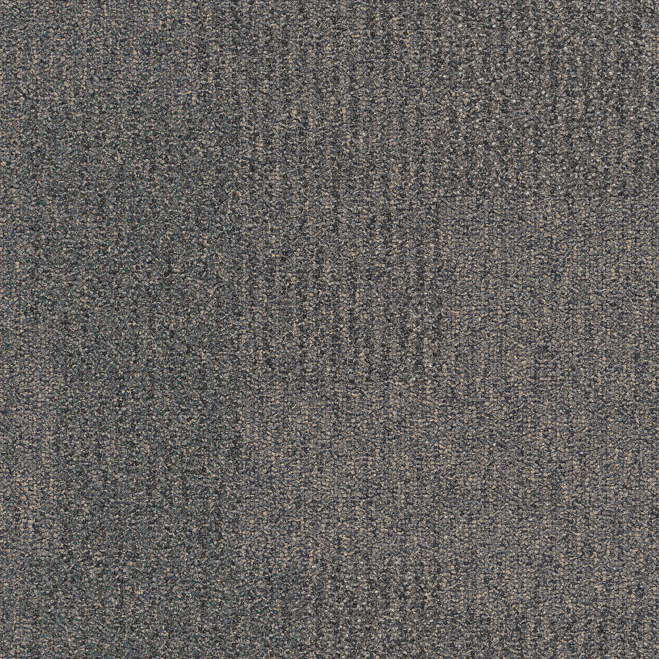 Interface USA - The Standard Shale