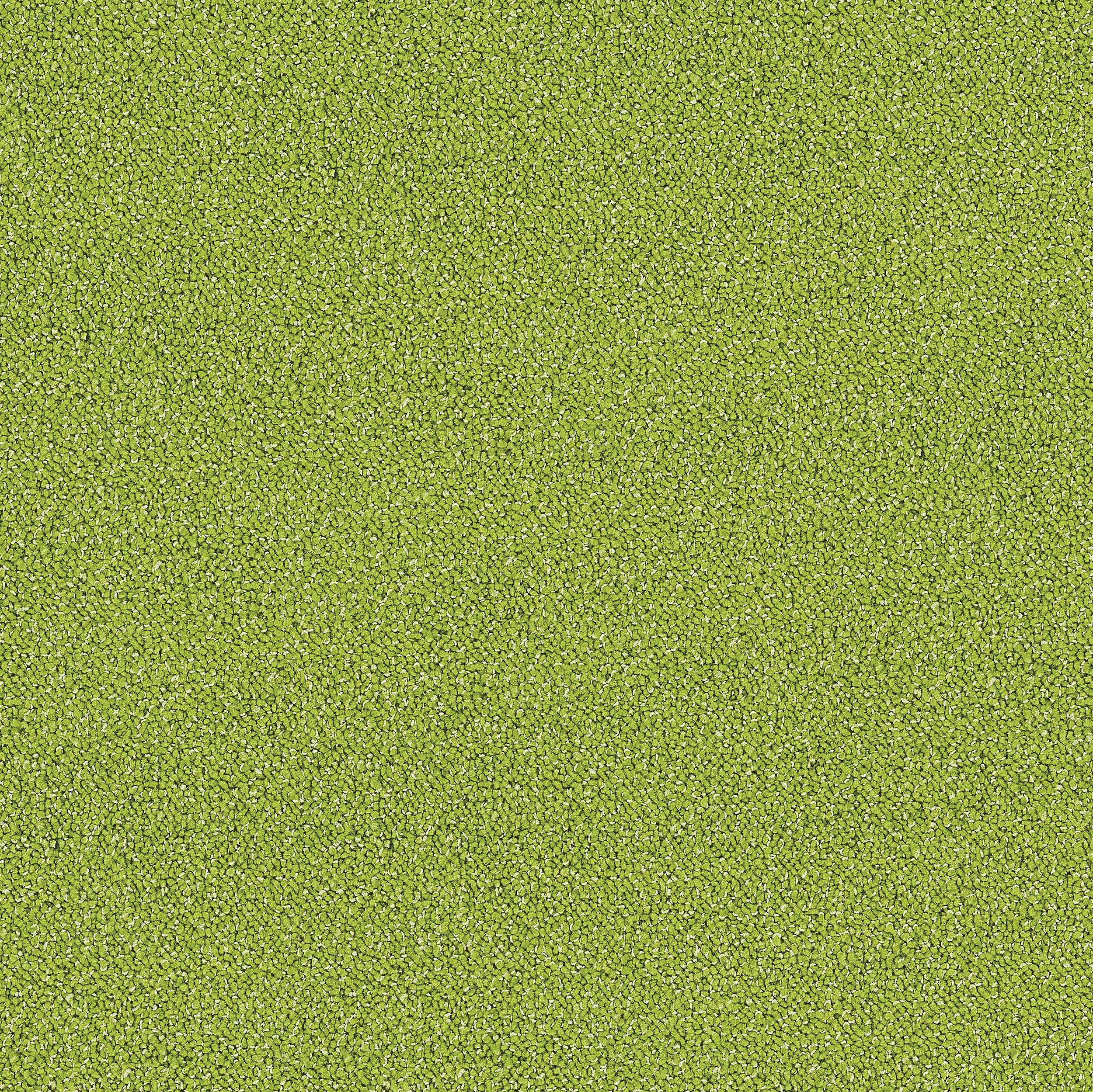 Interface USA - Touch & Tones Lemonade