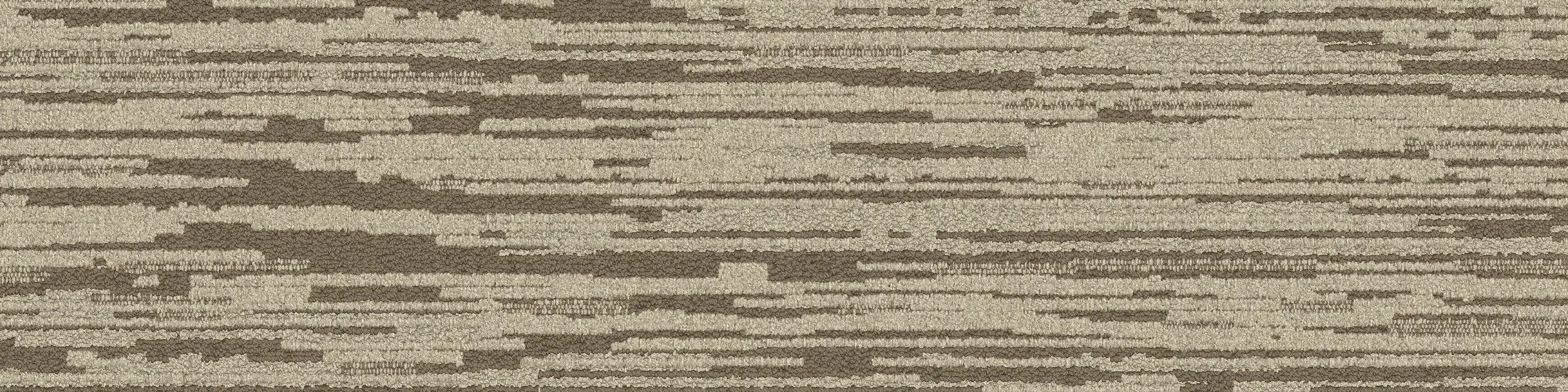 Interface USA - Global Change - Progression 1 Daylight variation 1
