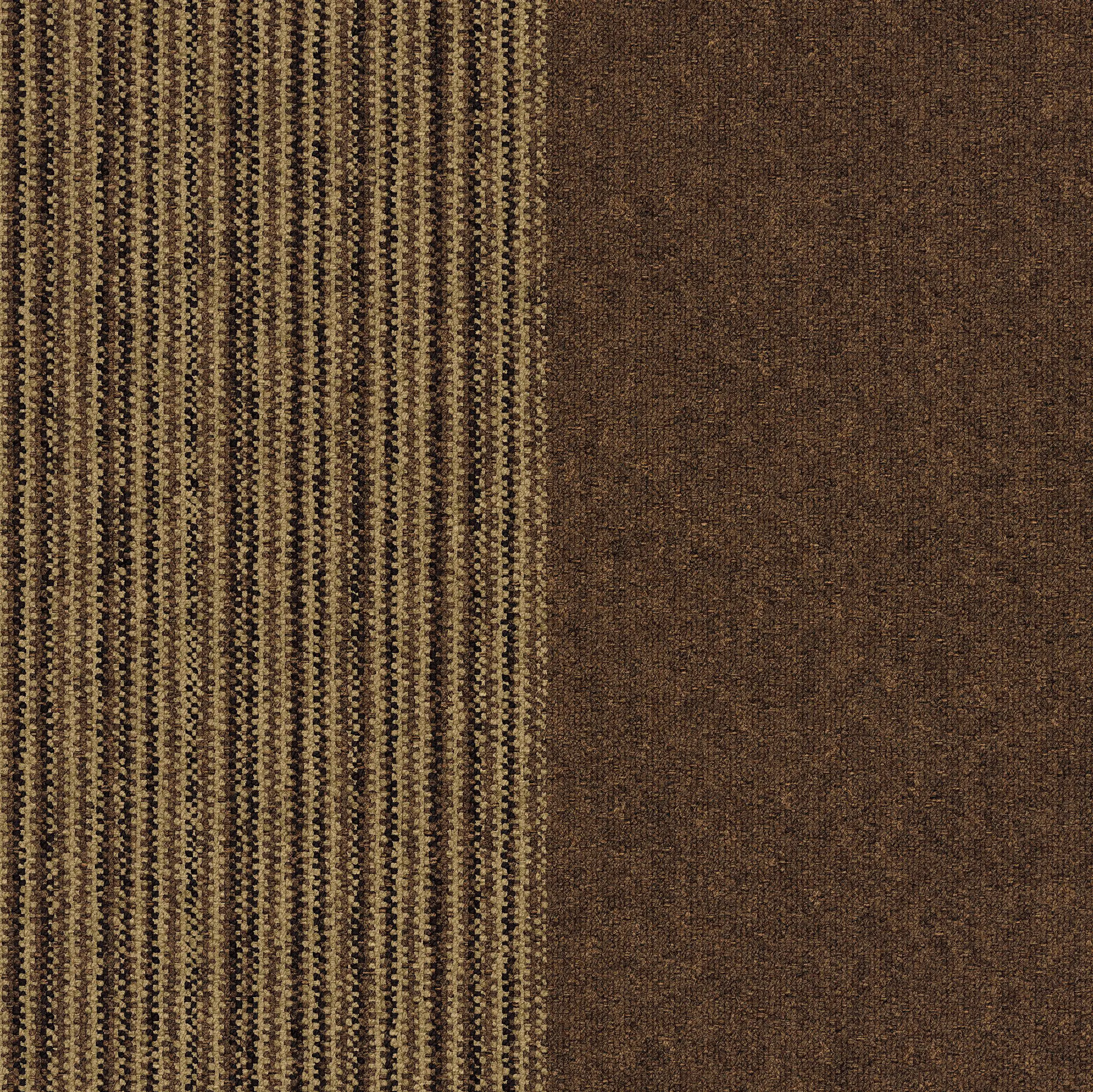 Interface USA - World Woven - ShadowBox Loop Sisal variation 1