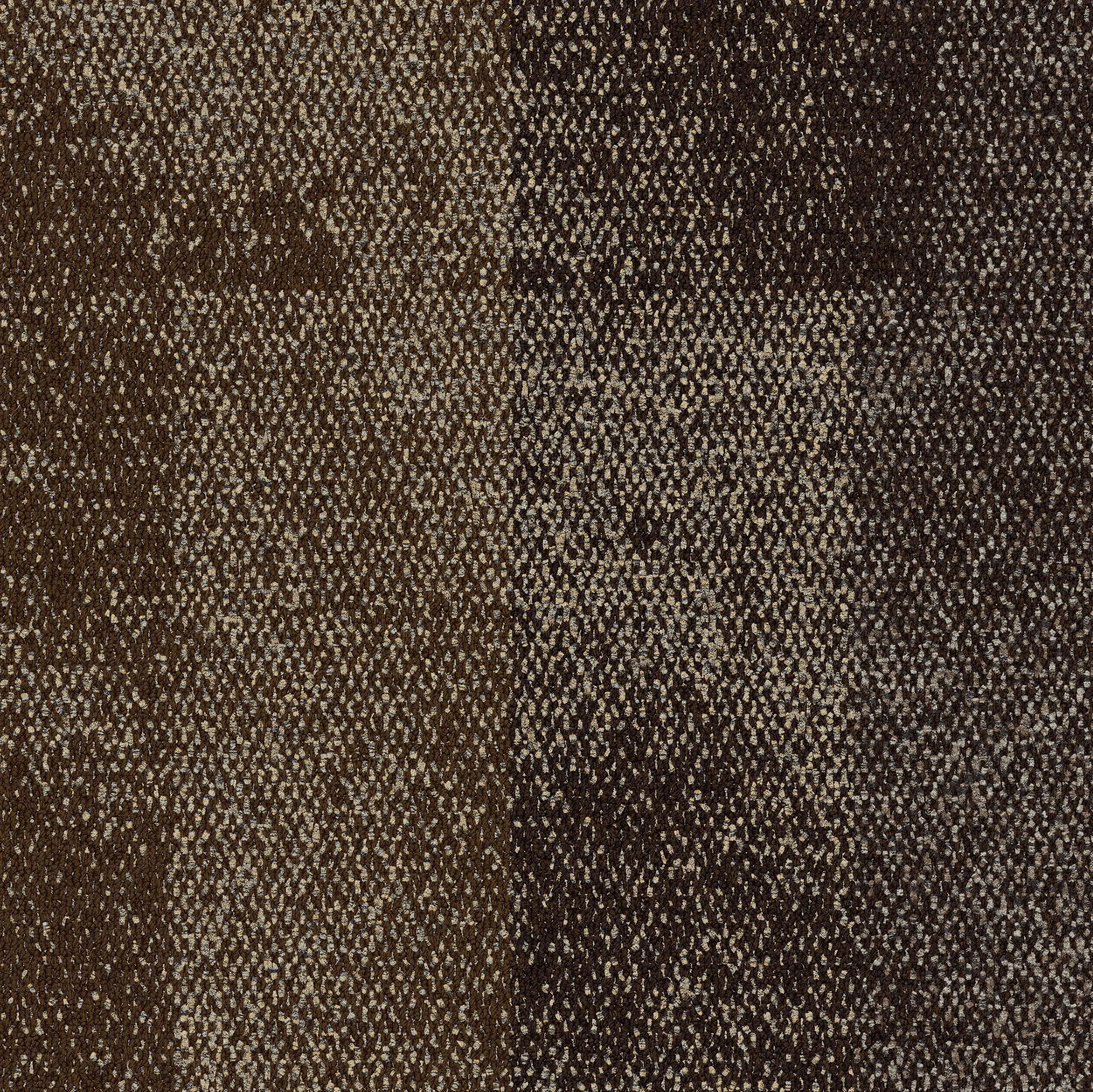 Interface USA - Exposed Crest