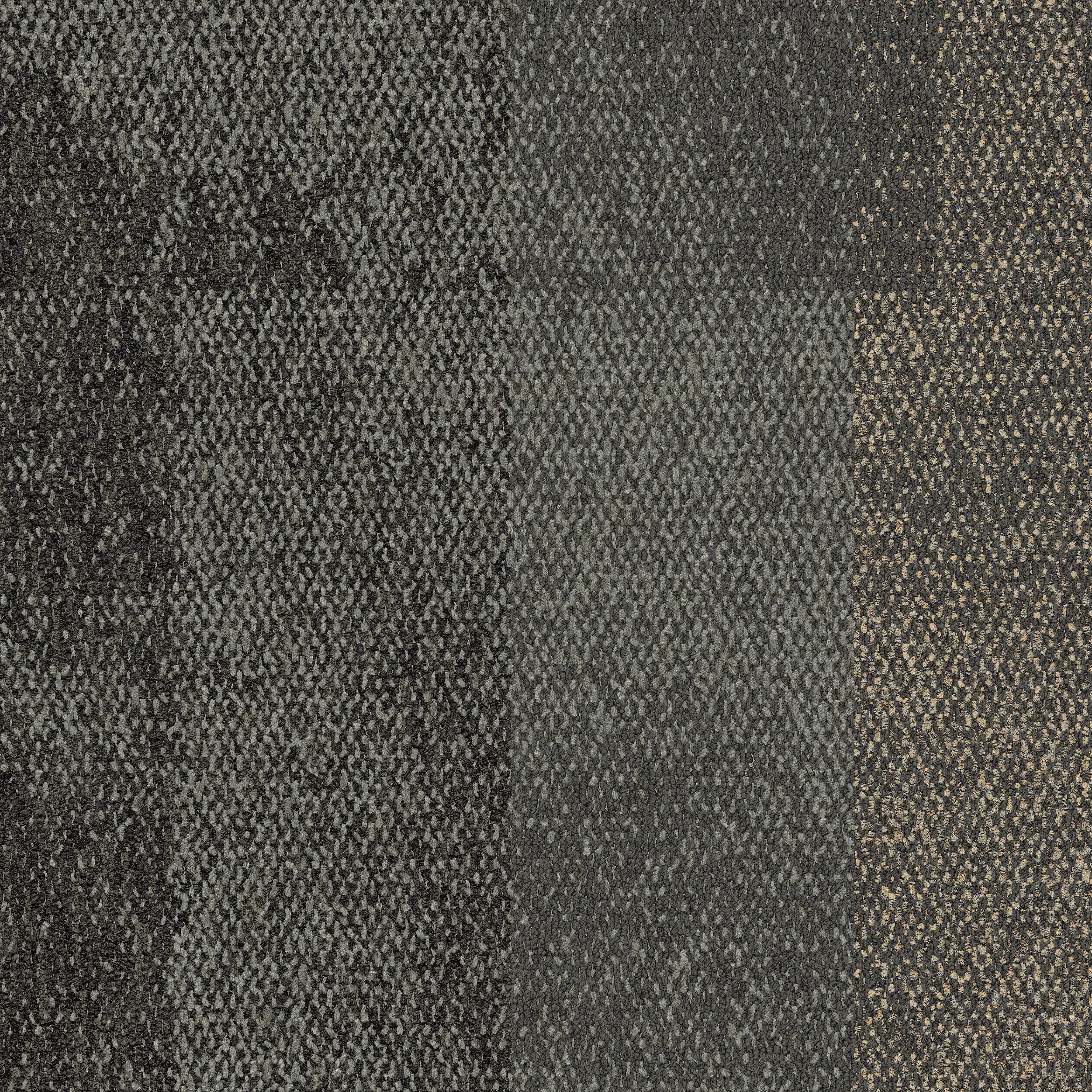 Interface USA - Exposed Meridian