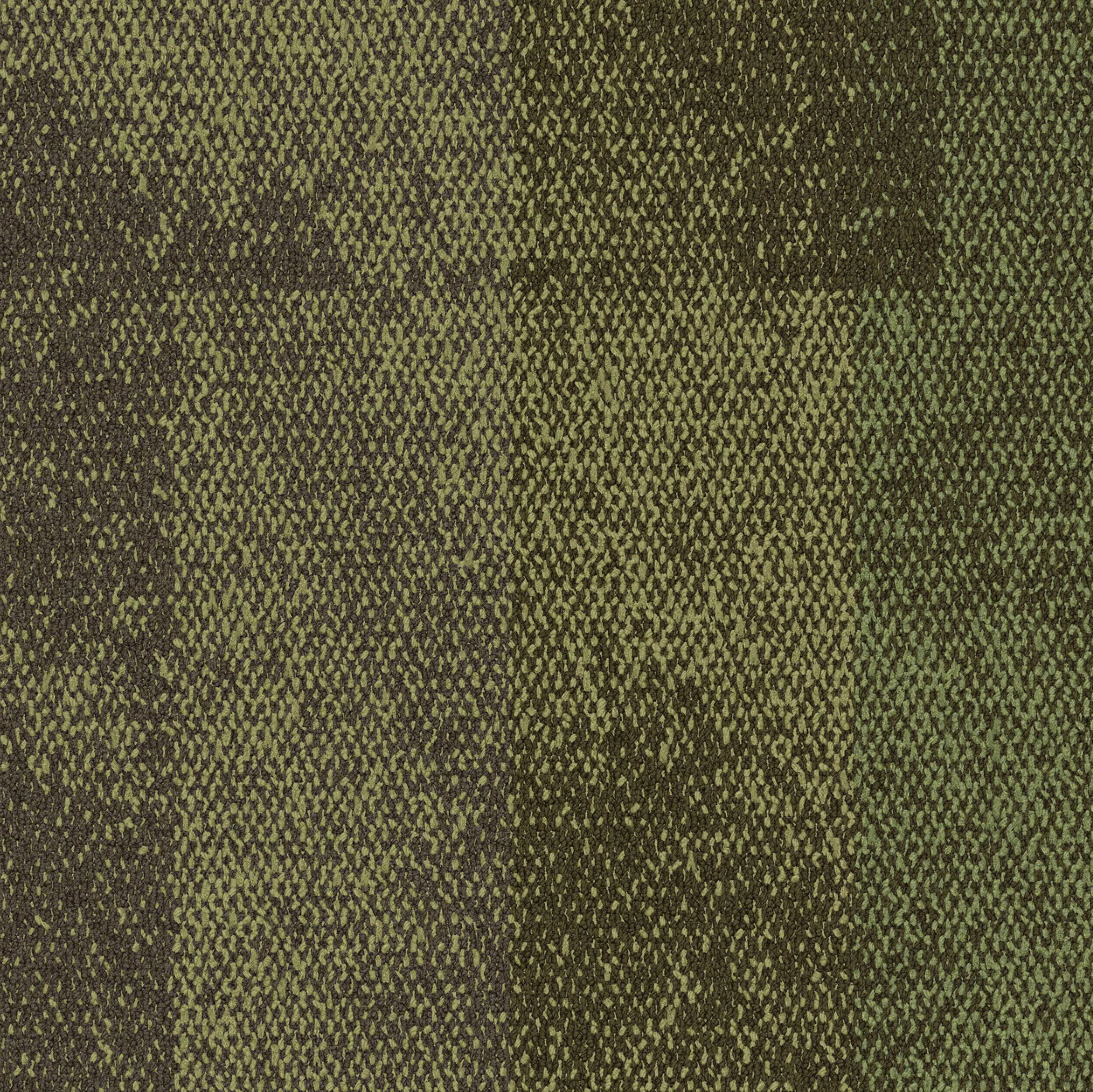 Interface USA - Exposed Vertex