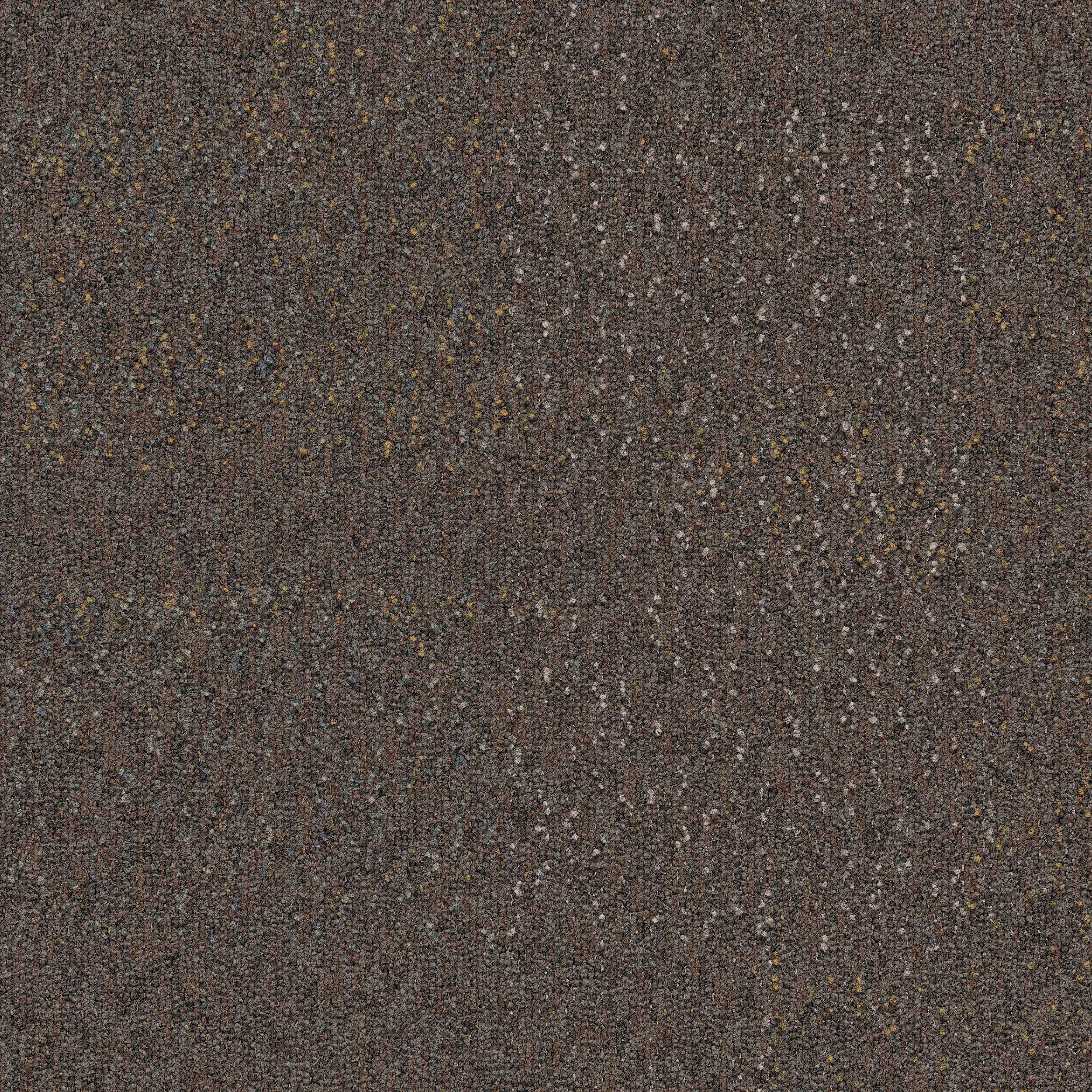 Interface USA - Profile Construction