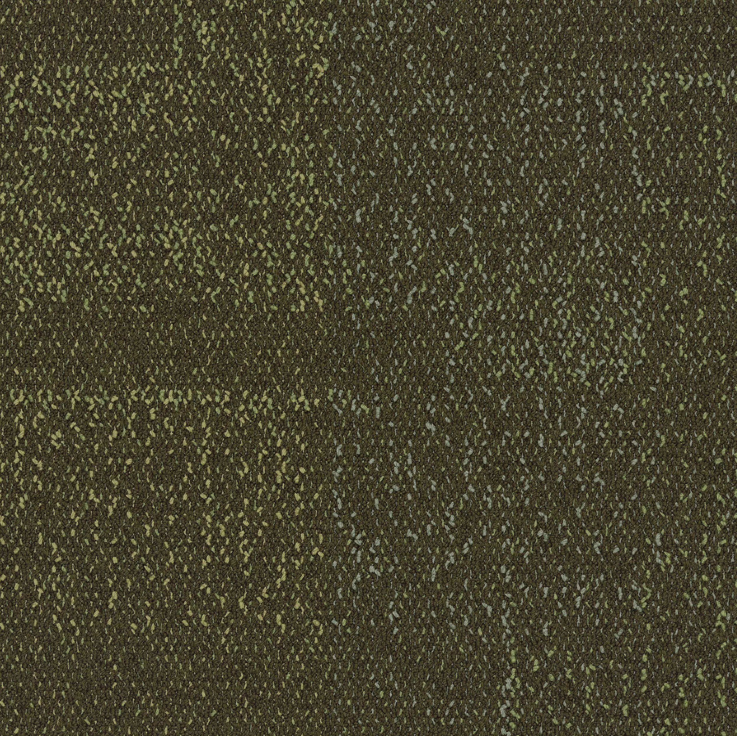 Interface USA - Profile Vertex