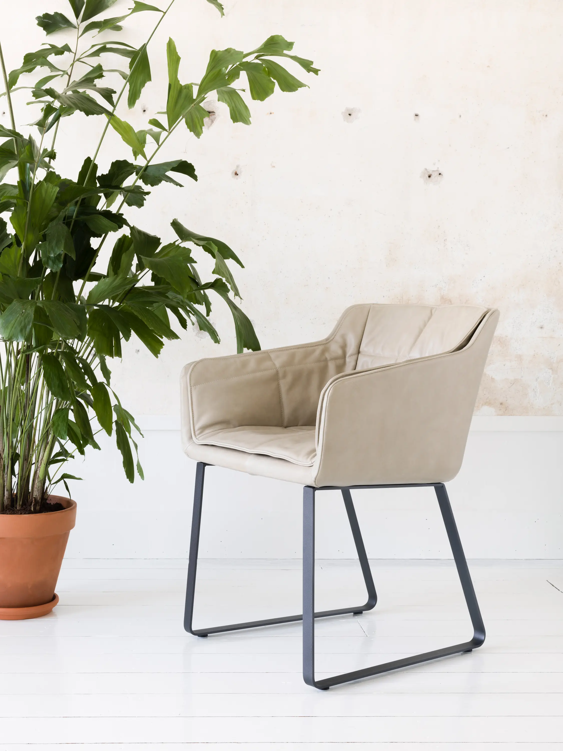 QLiv - Cambria Armchair