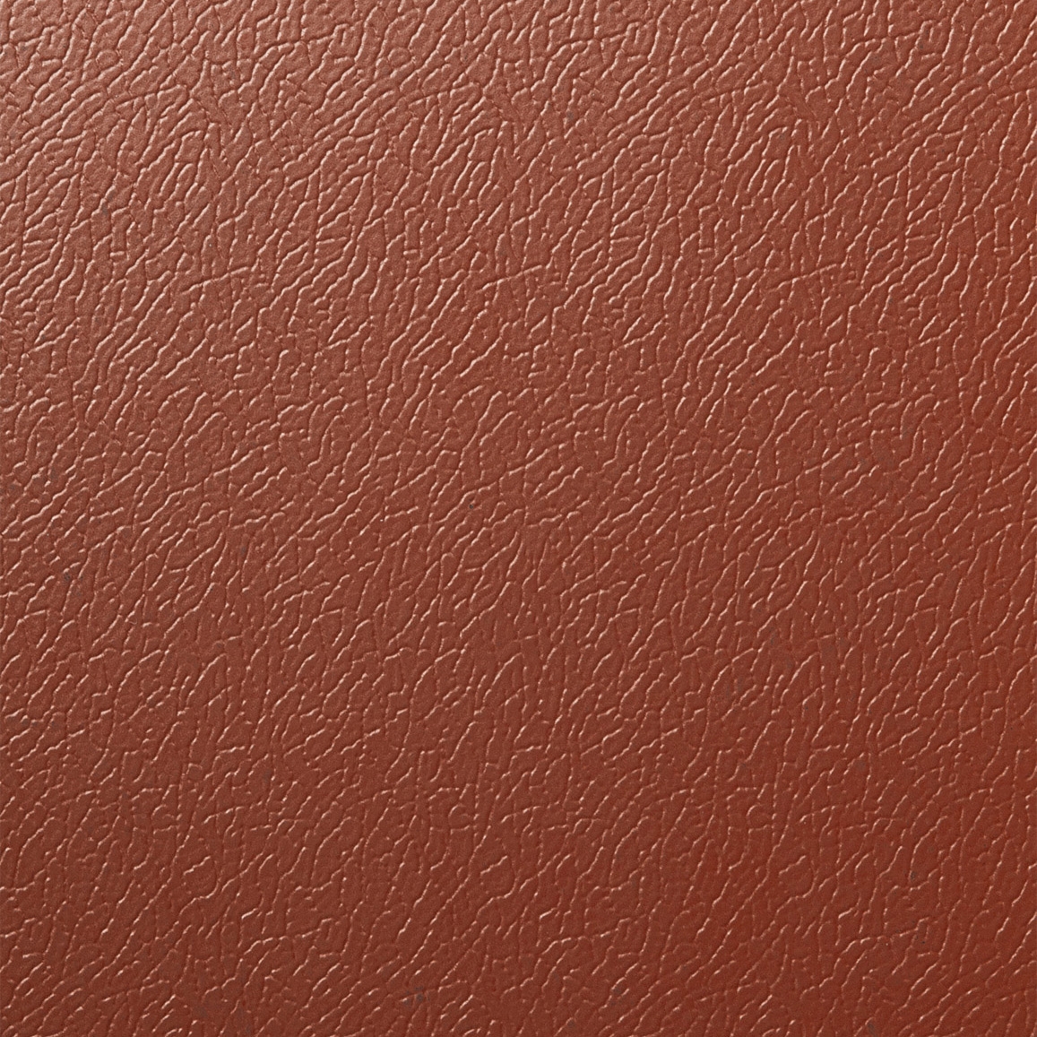 Solano® Nature | Copper beech
