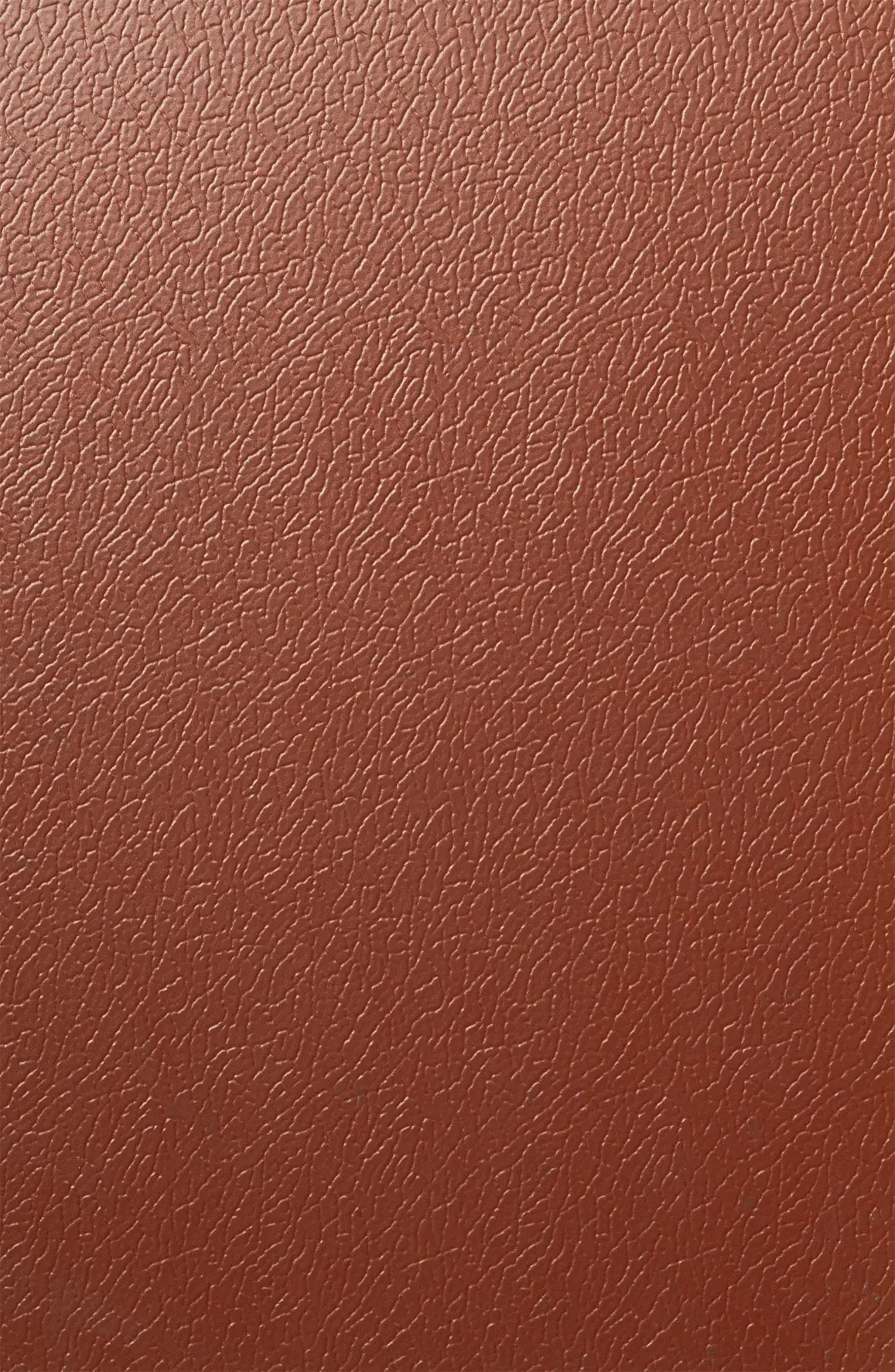ArcelorMittal - Solano® Nature | Copper beech