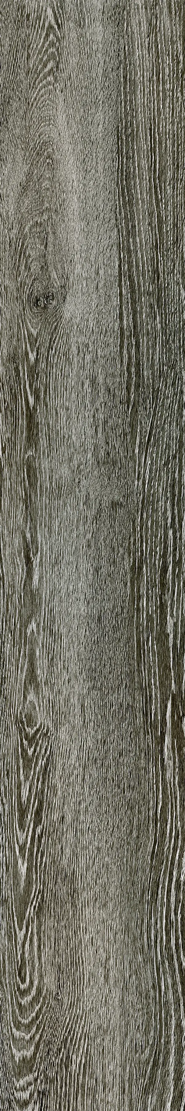 Cerdisa - Steam wood | charcoalan natural