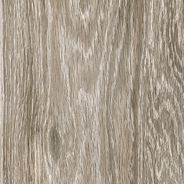 Steam wood | dove grey natural