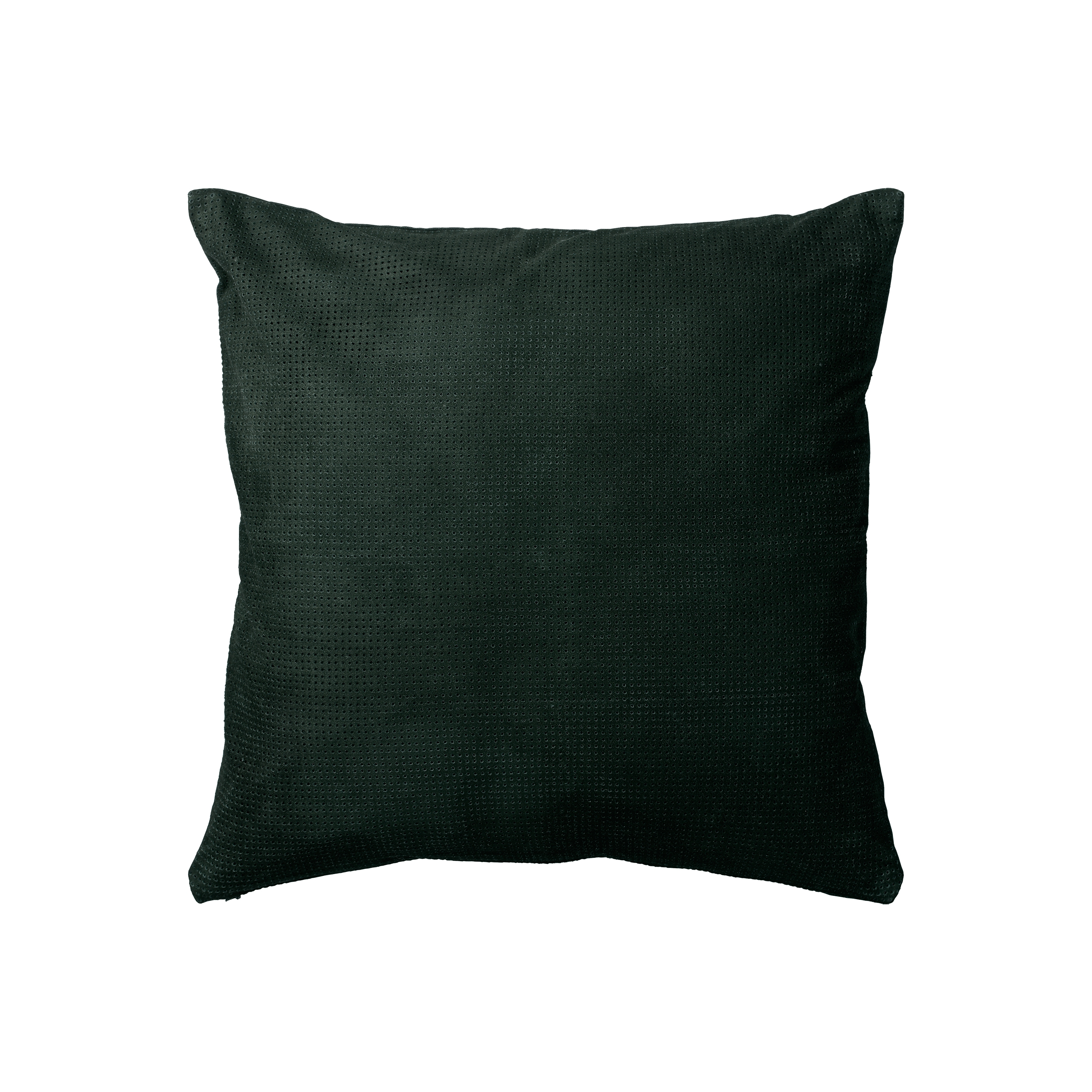 Puncta | cushion