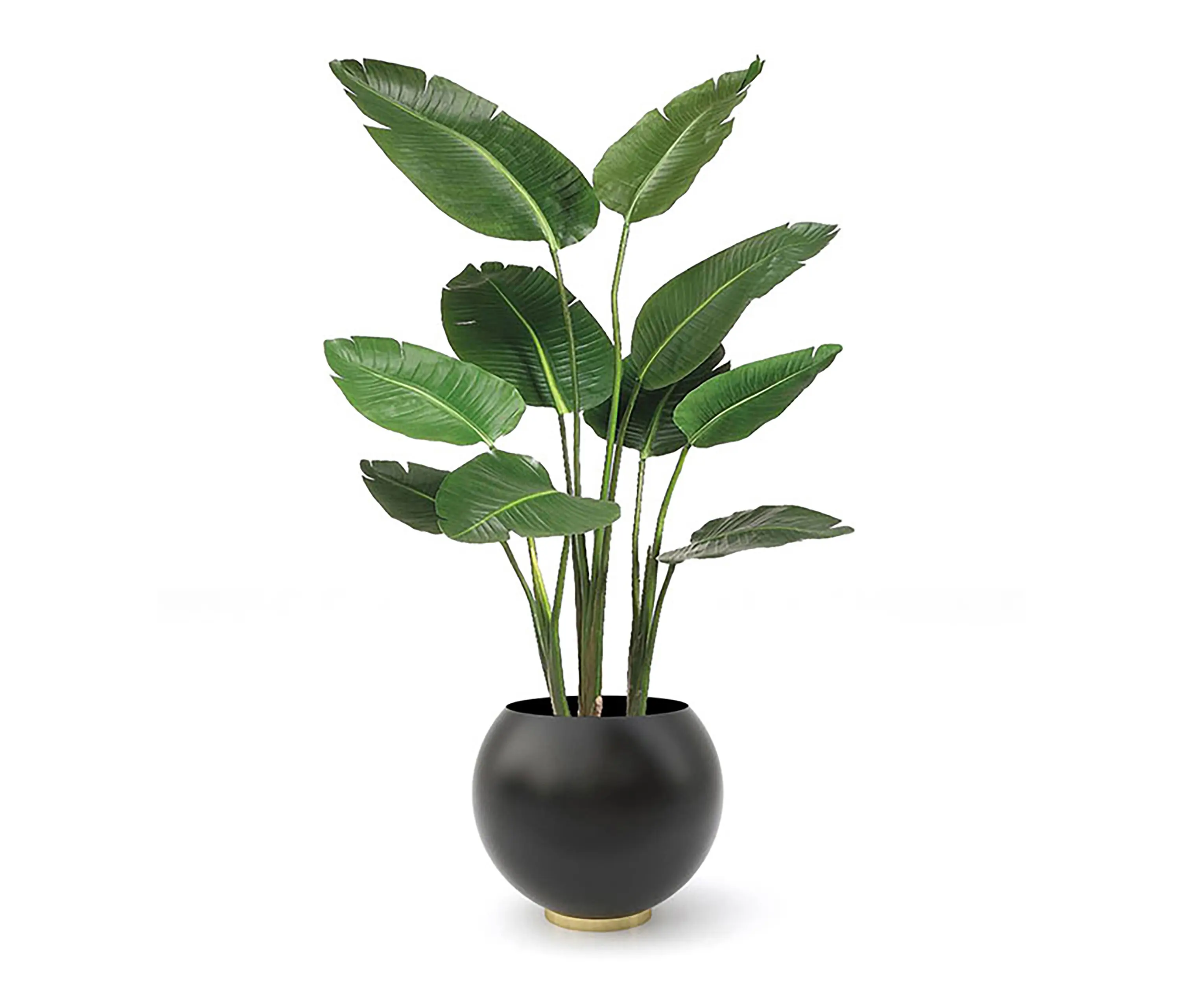 AYTM - Globe | flower pot