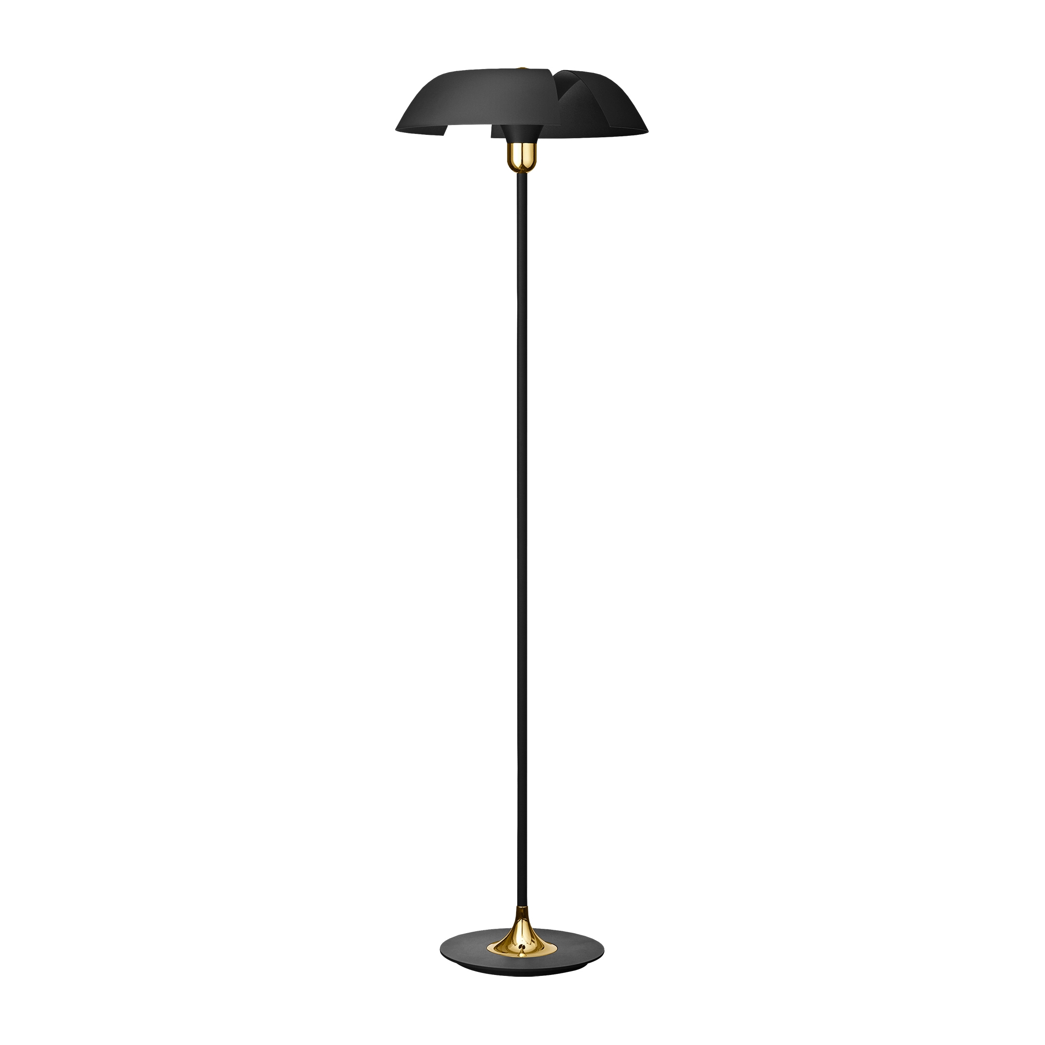 Cycnus | floor lamp