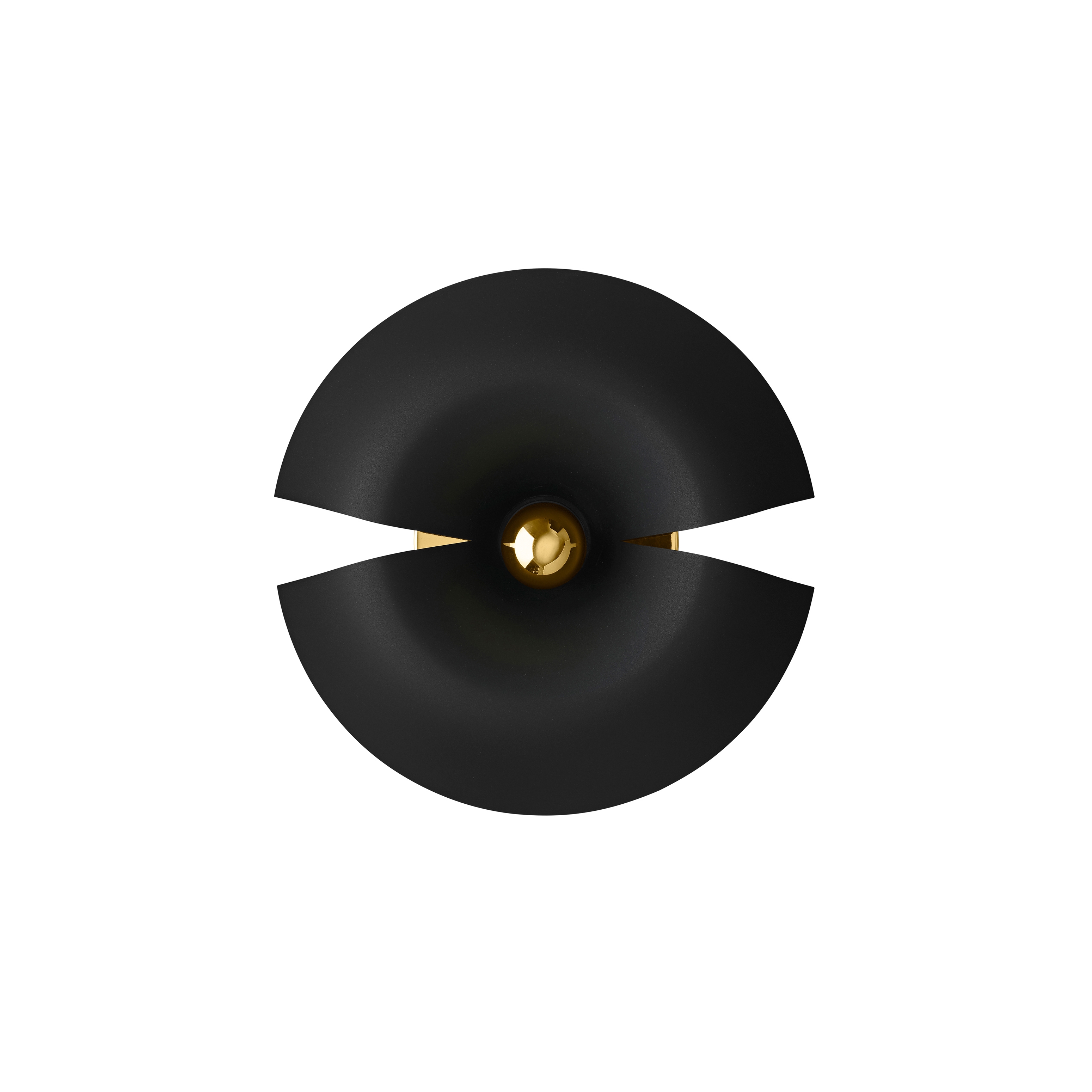 Cycnus | wall lamp