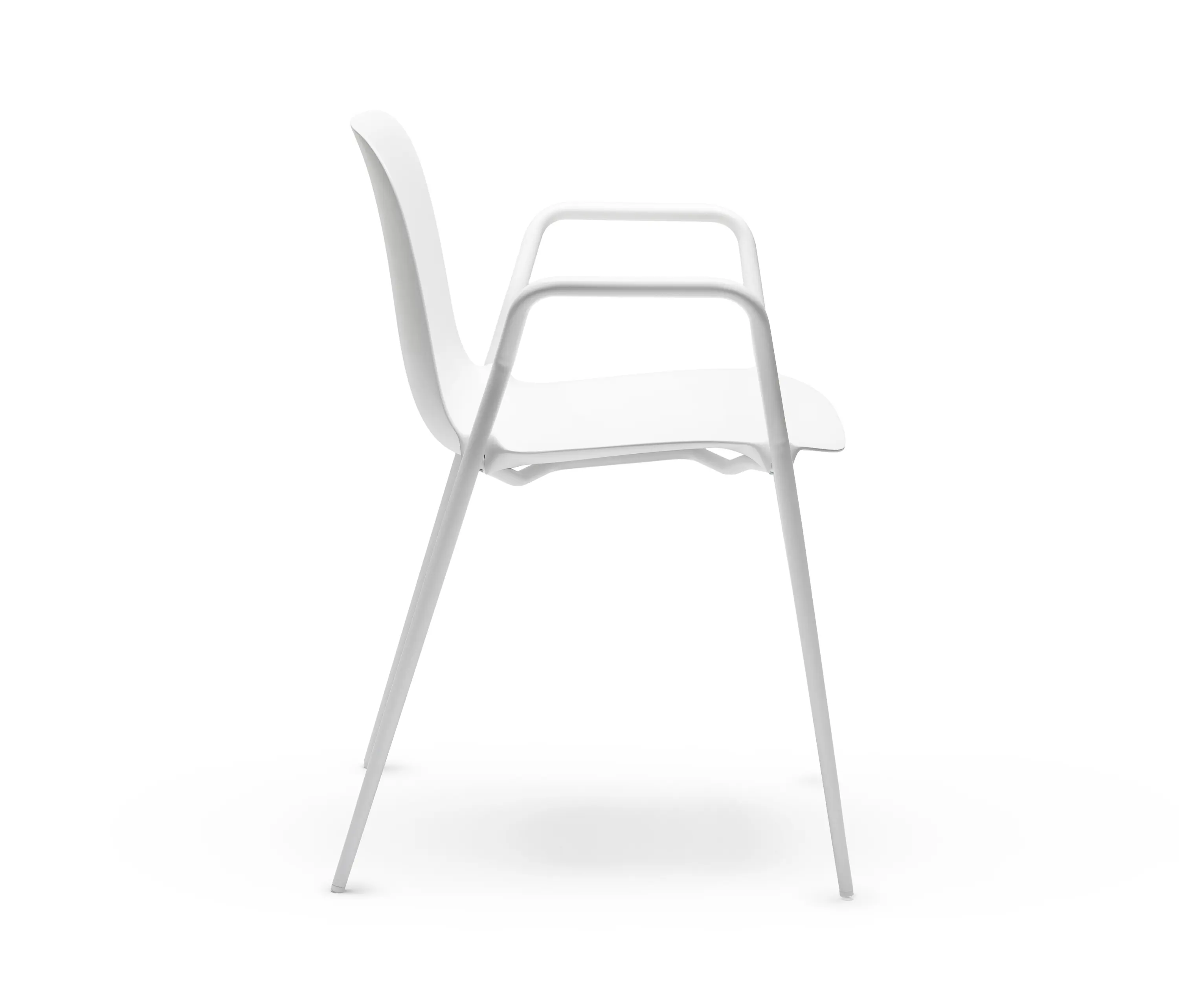 CHAIRS & MORE - Dogo P