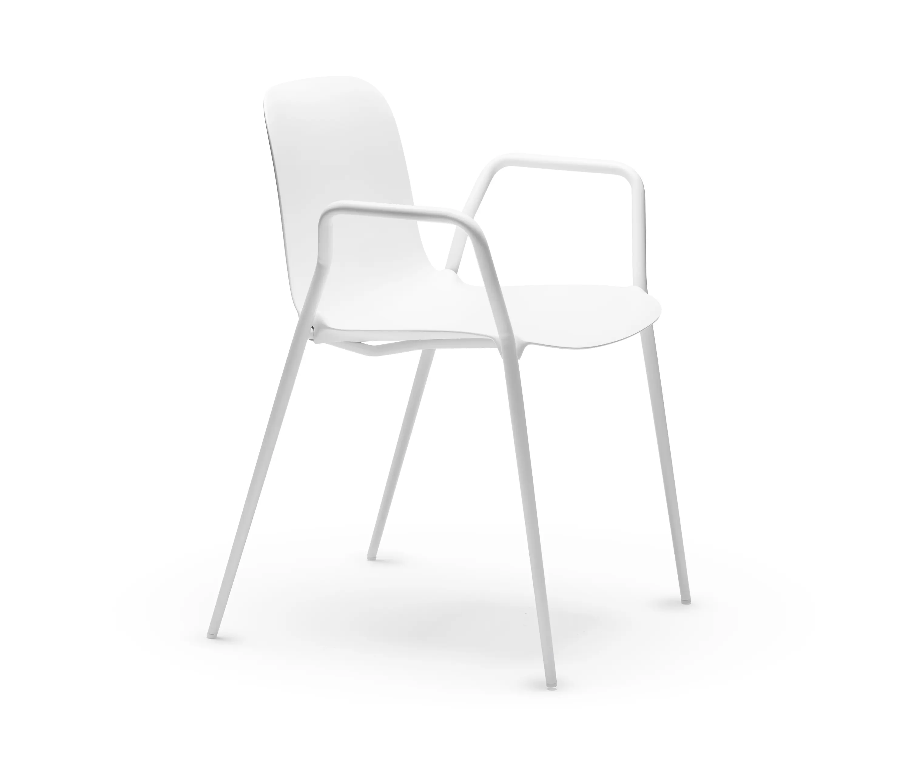 CHAIRS & MORE - Dogo P