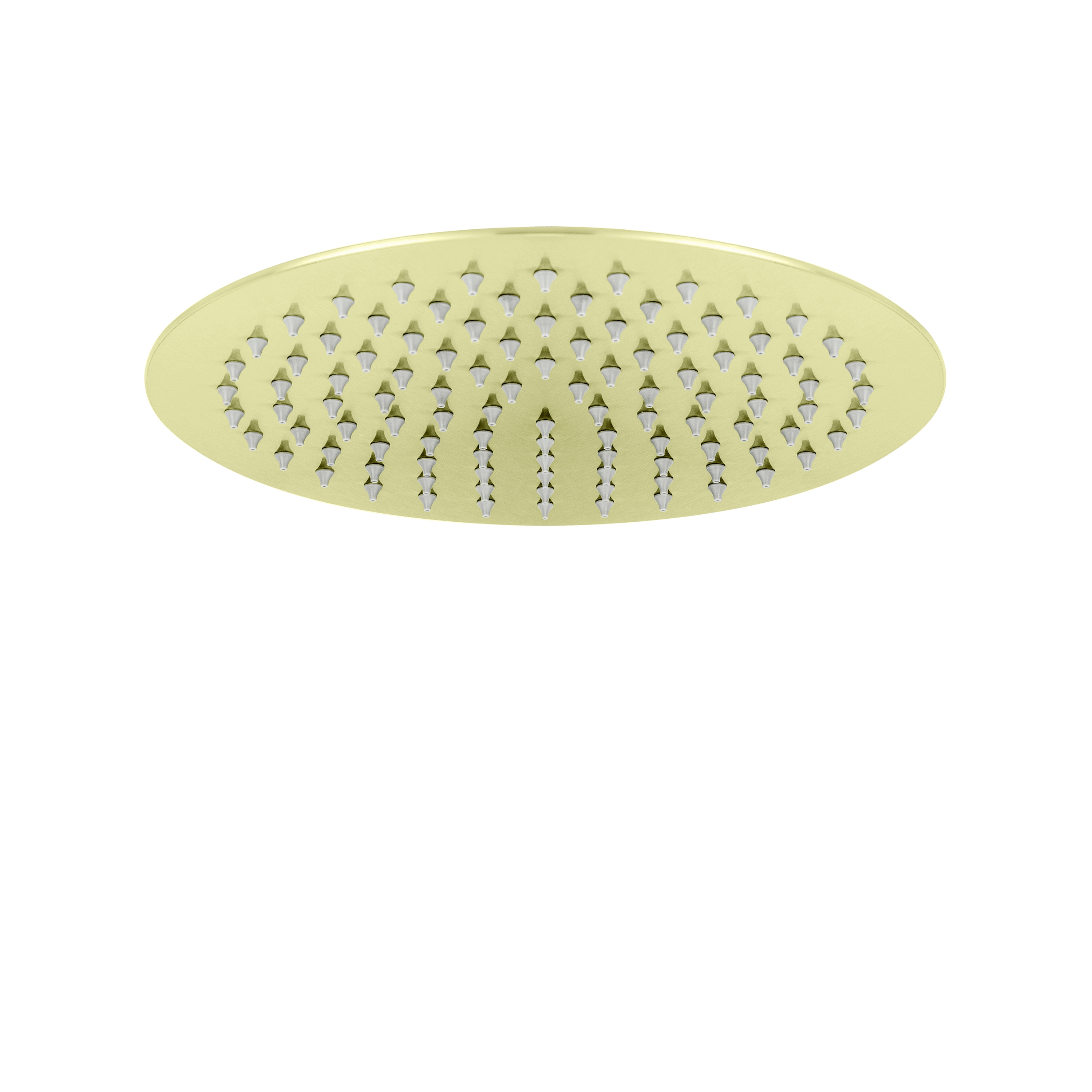 Beach House | Shower Head