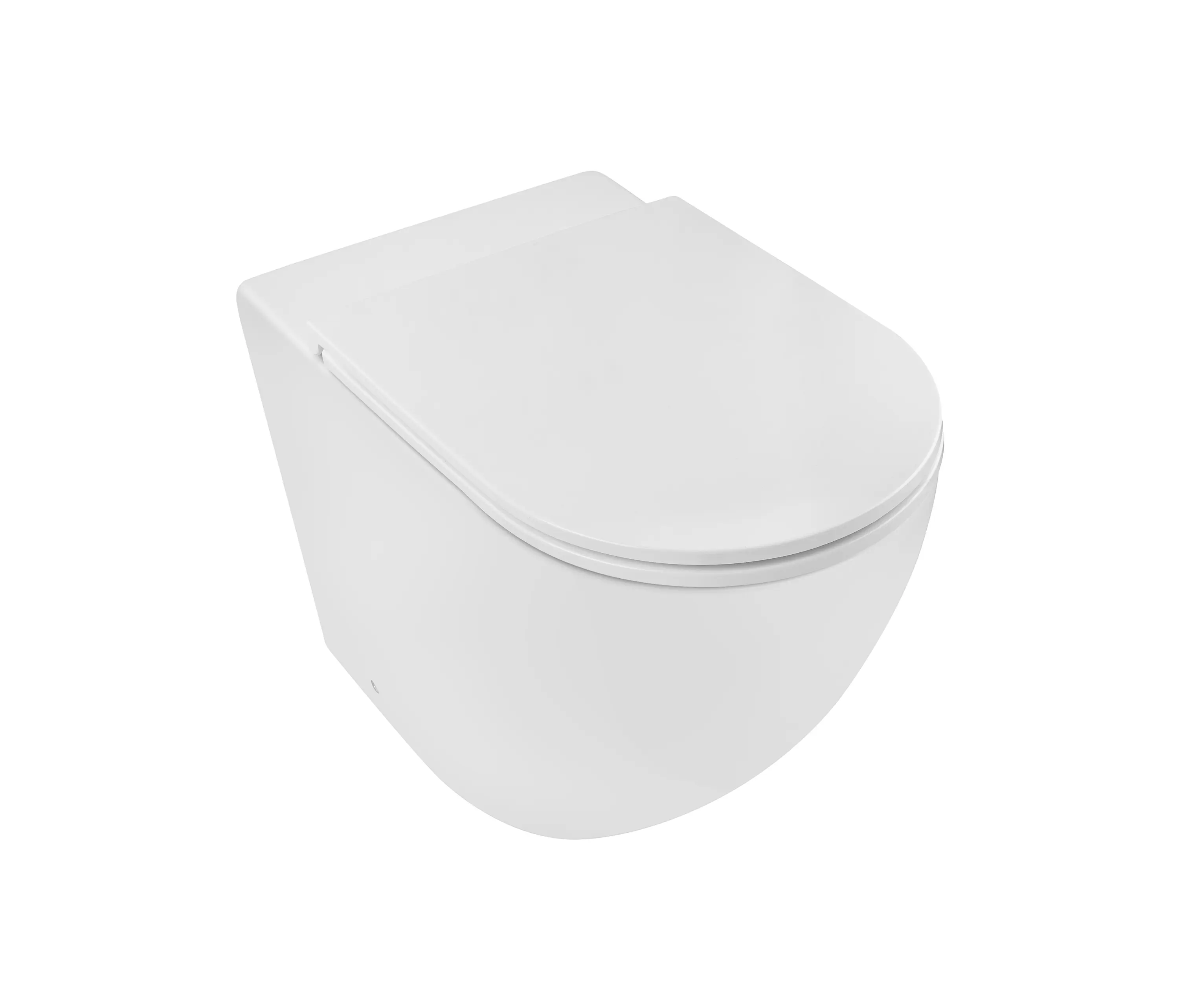 BAGNODESIGN - Vitesse | Rimless Back to Wall WC