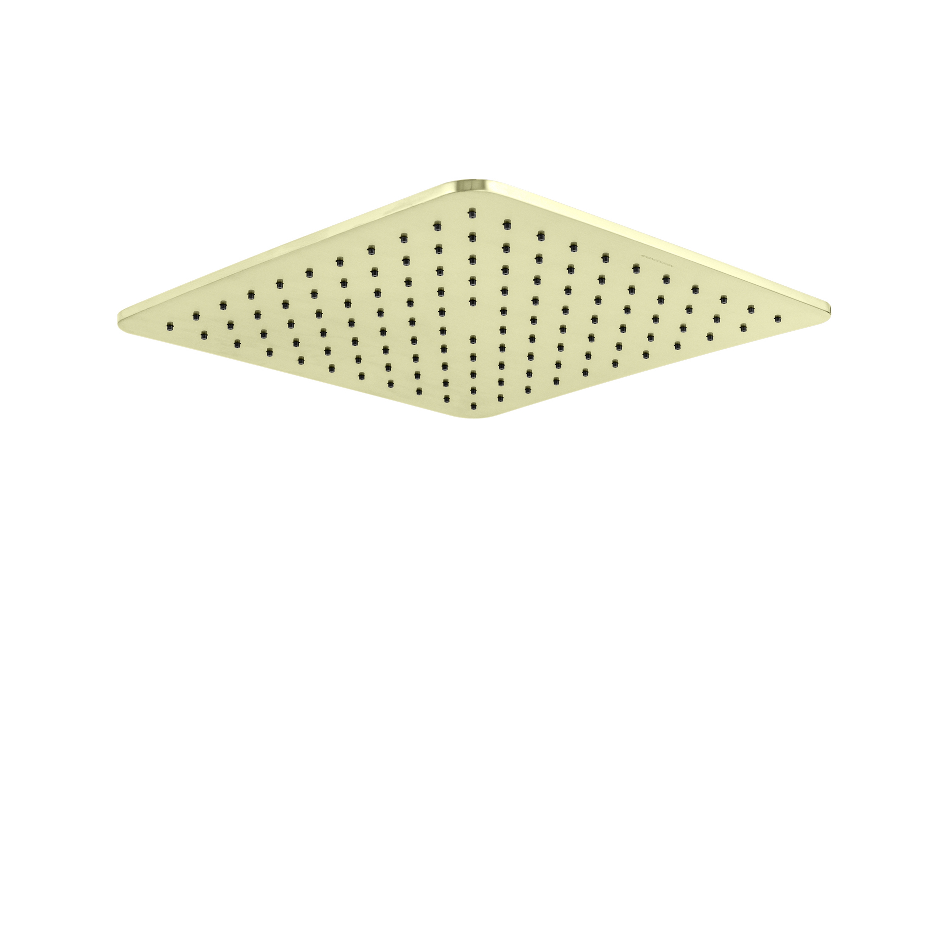 Zephyr | Shower Head