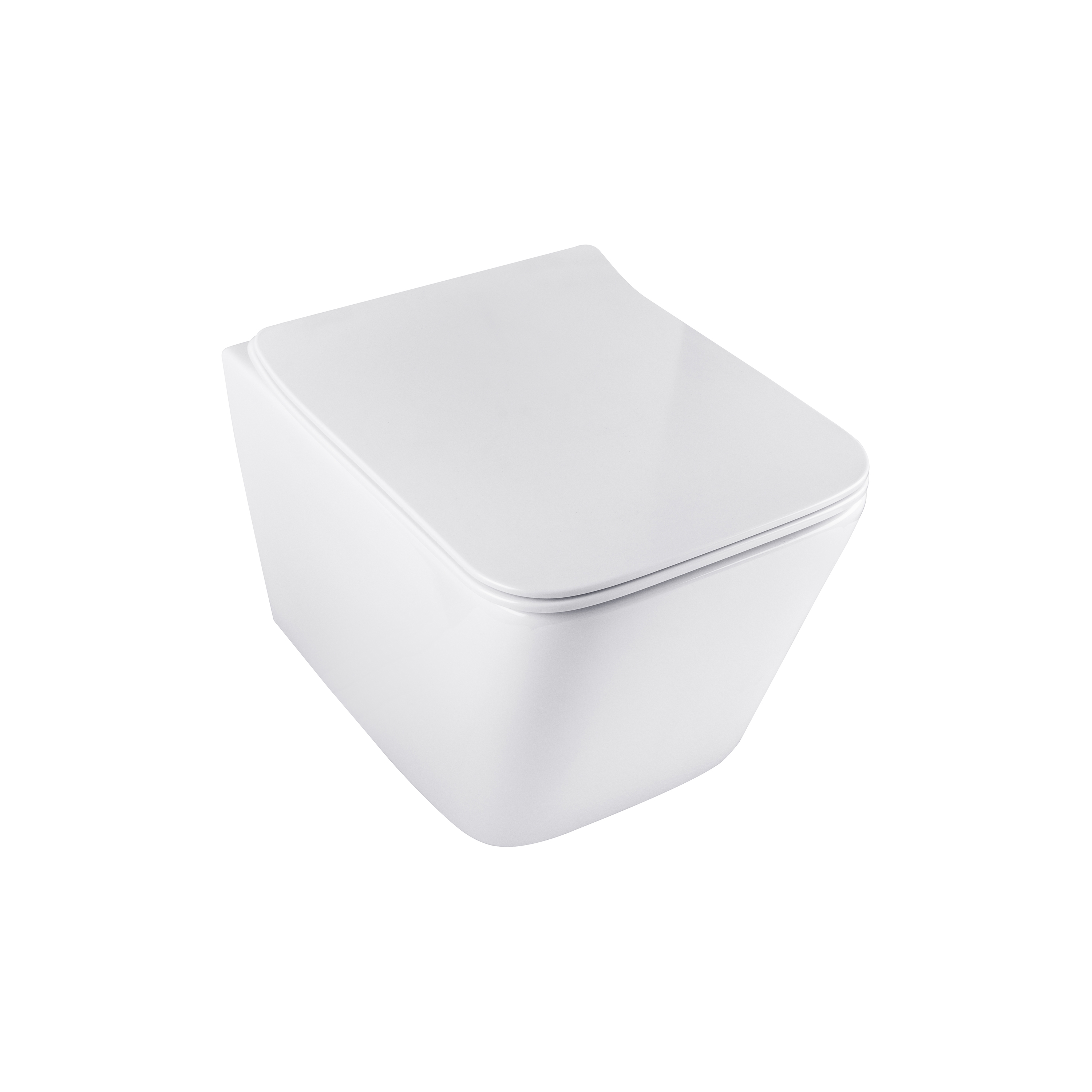 Mostra il prodotto Zephyr | Wall Mounted WC del produttore BAGNODESIGN