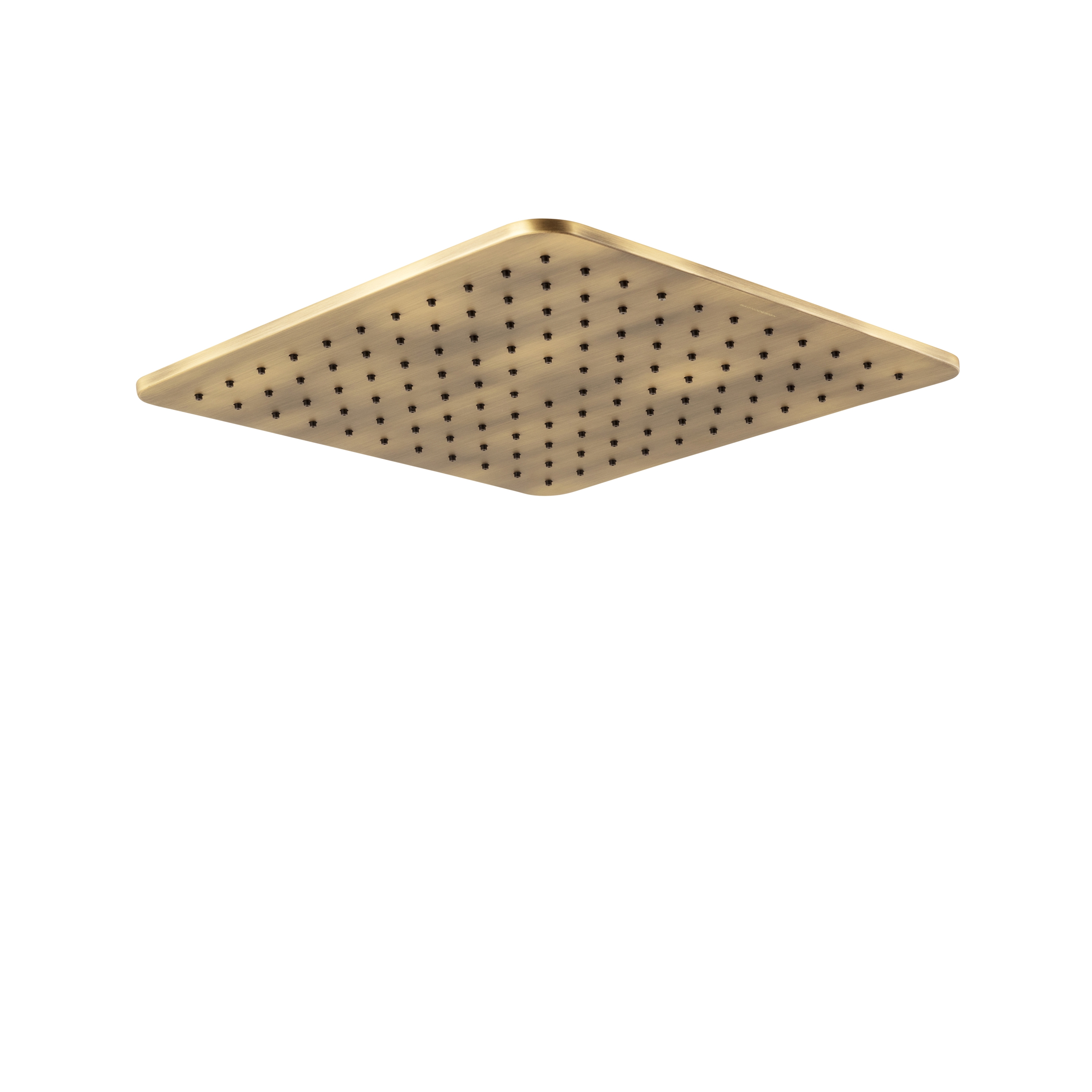Zephyr | Wall/Ceiling Mounted Shower Head