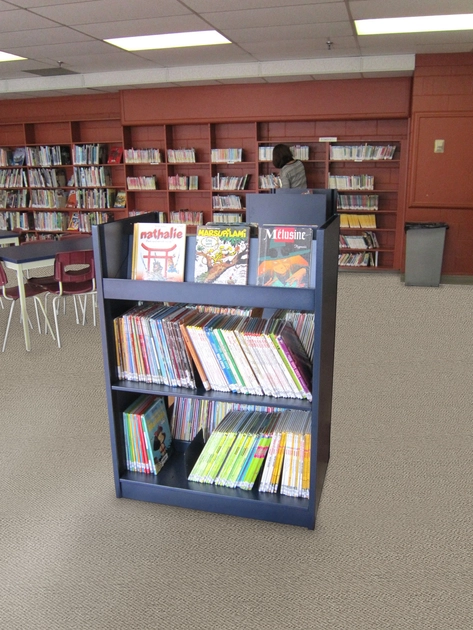 AURORA LIBRARY PERIODICAL DISPLAY UNIT (DOUBLE ENTRY) - Shelving from ...