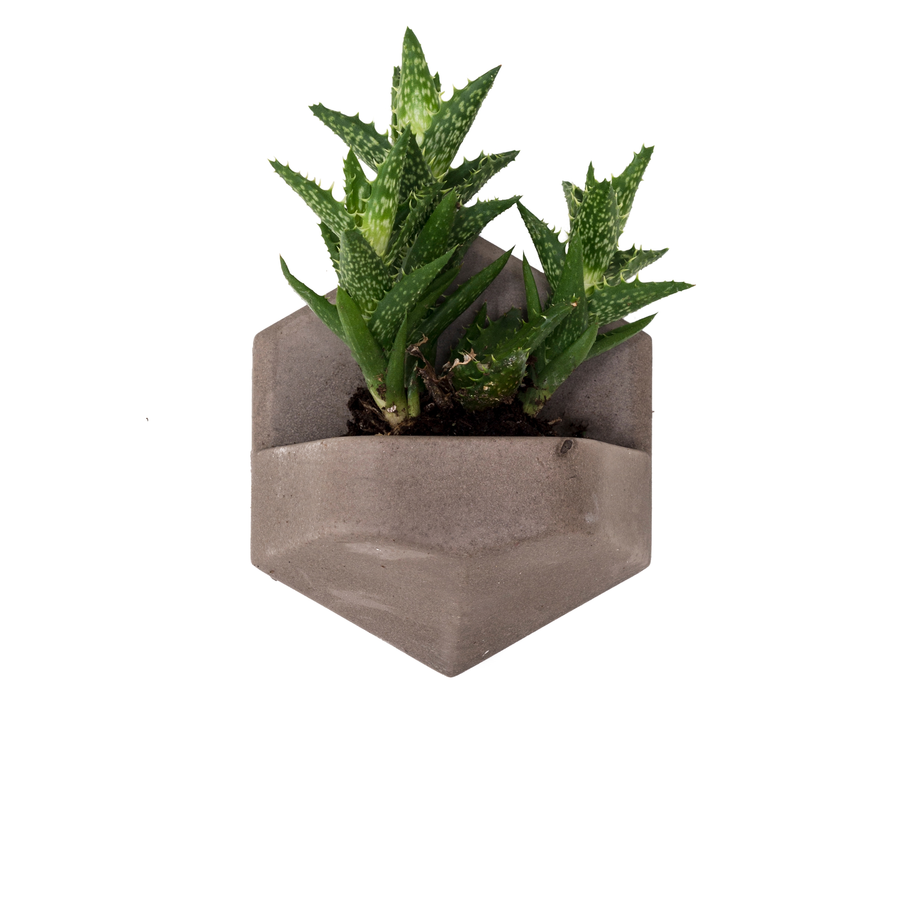 Display product MonoPlanter | Concrete Light Grey from manufacturer Valence Design