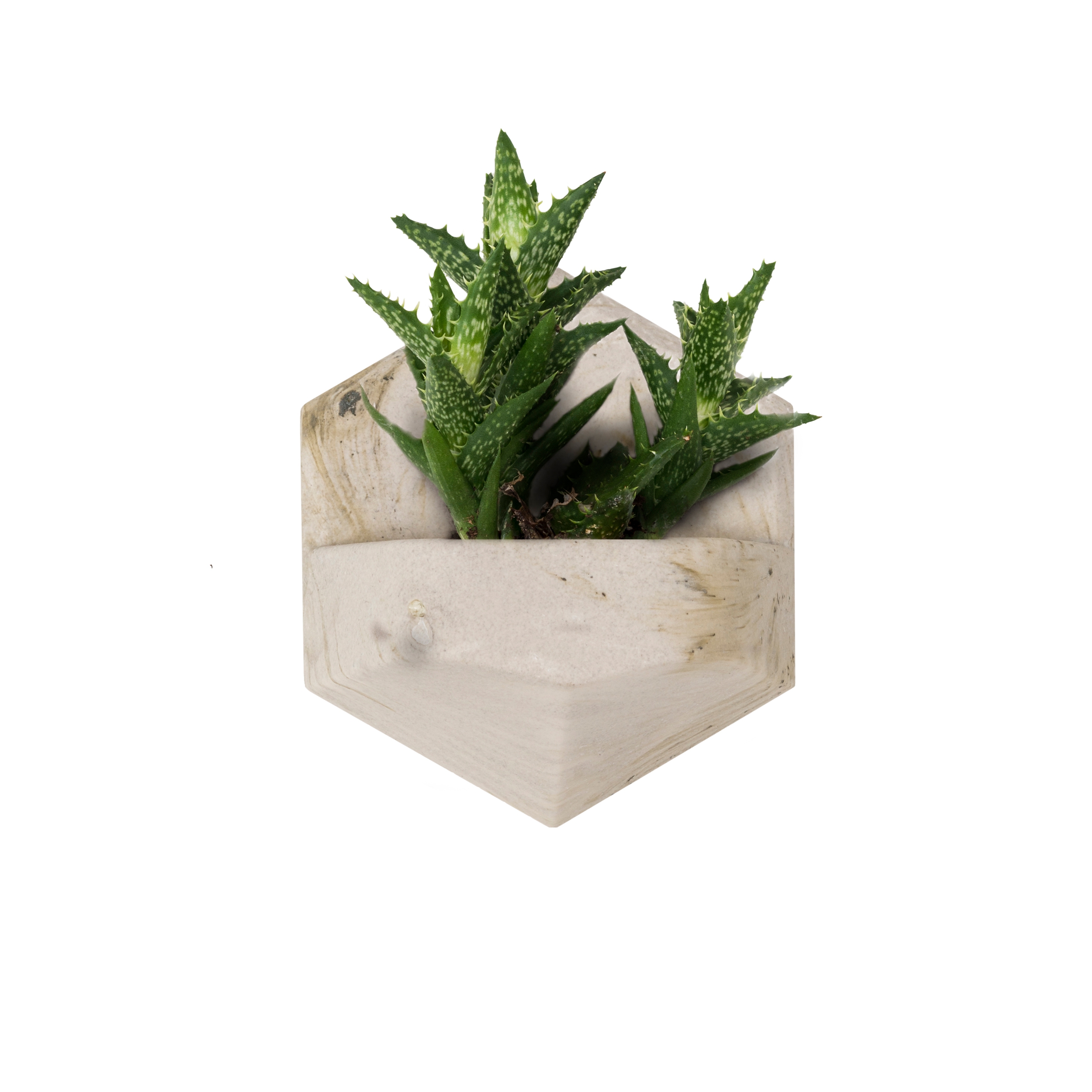 MonoPlanter | Concrete Light Grey