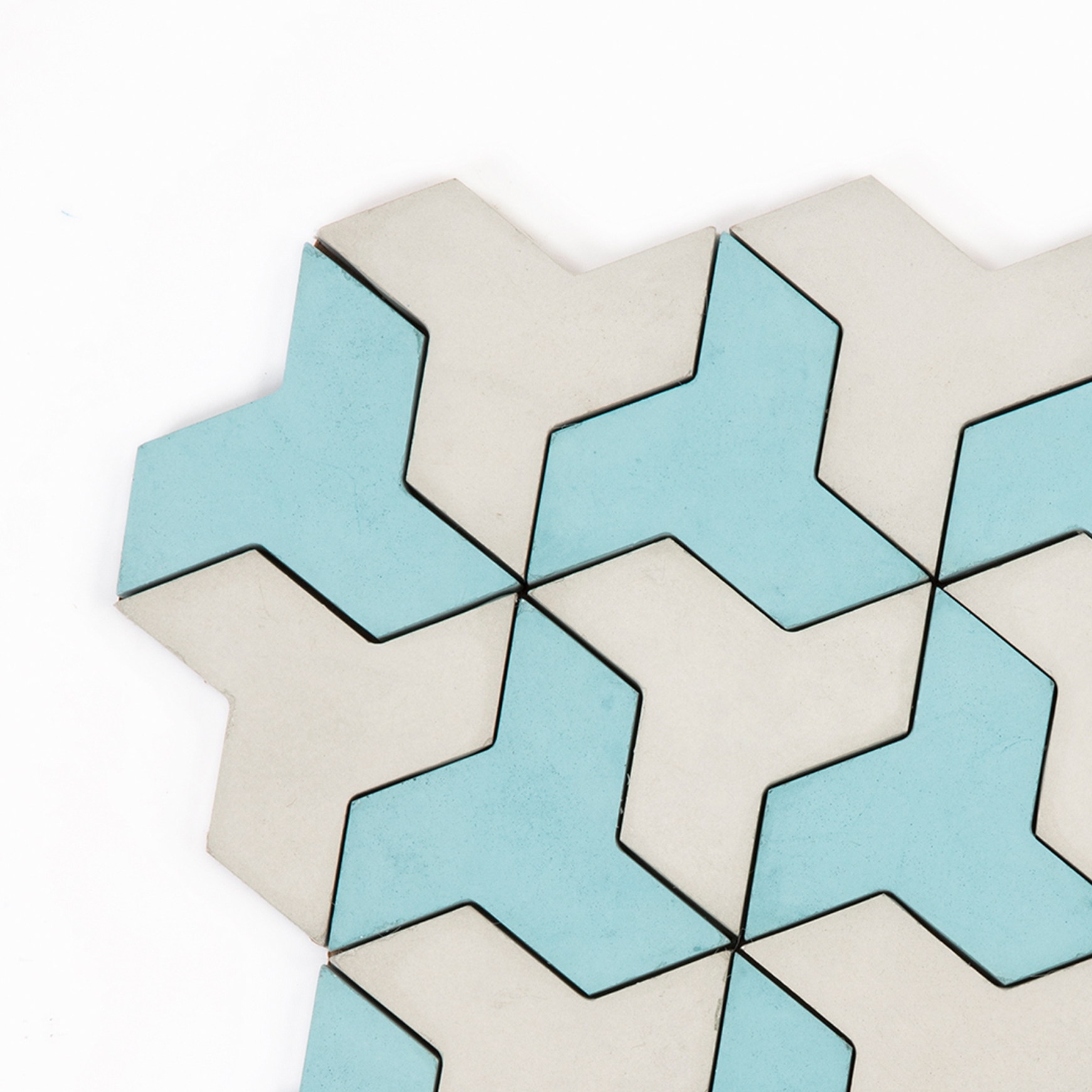 Discus - GreyAqua