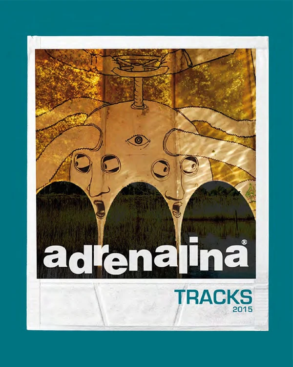 Preview image for the file TRACKS 2015