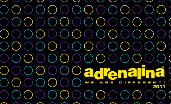 Preview image for the file WE ARE DIFFERENT 2011