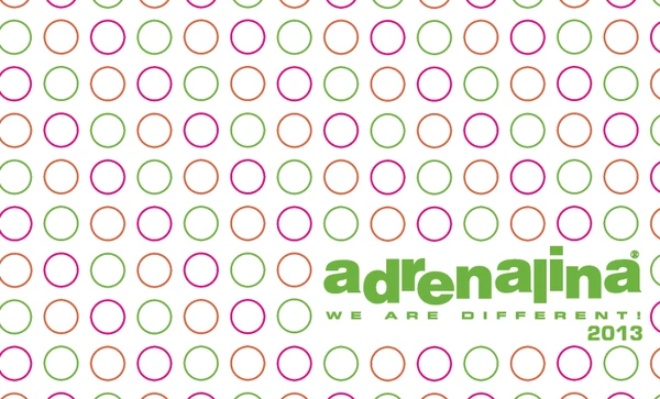 Preview image for the file WE ARE DIFFERENT 2013