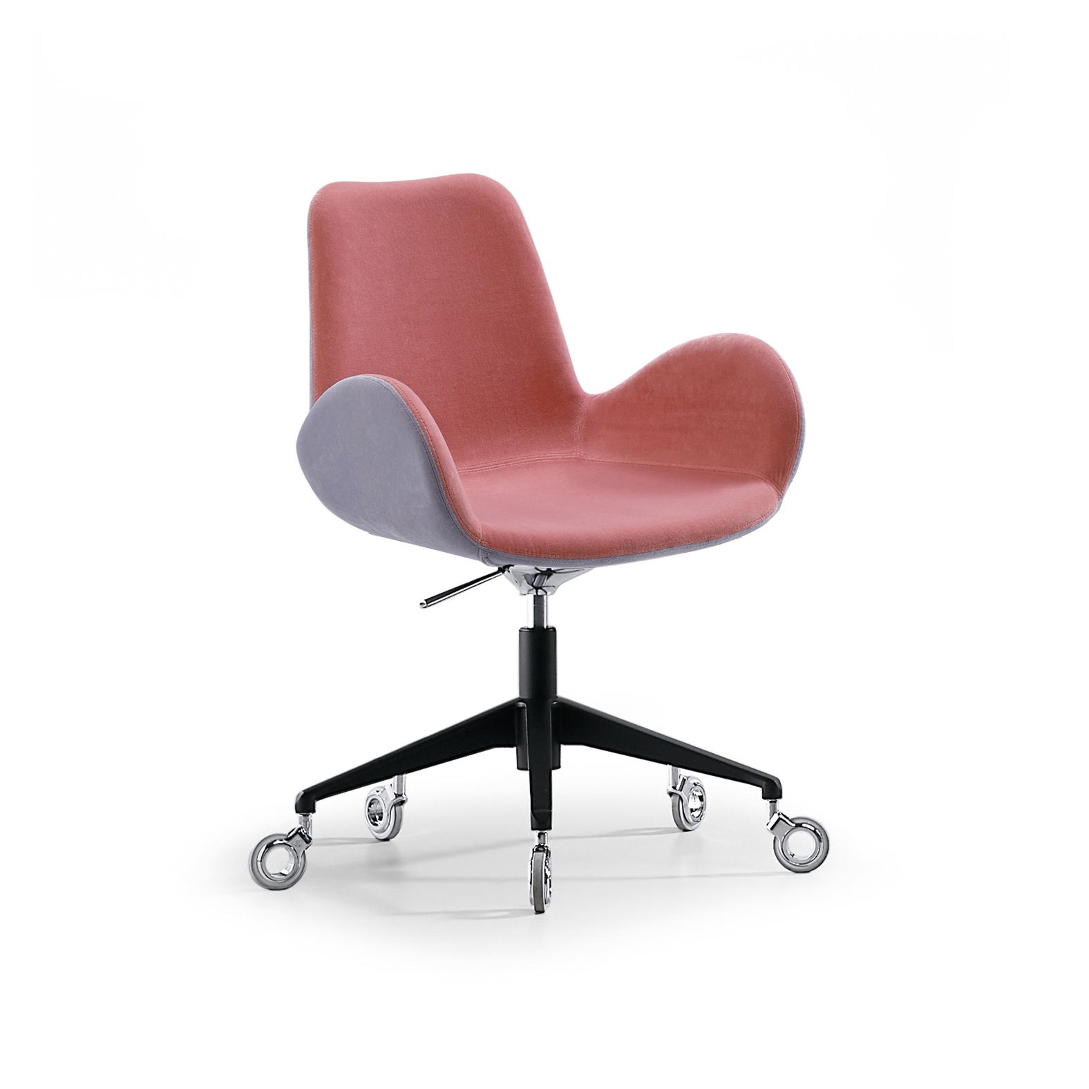 Display product Dalia PB D from manufacturer Midj