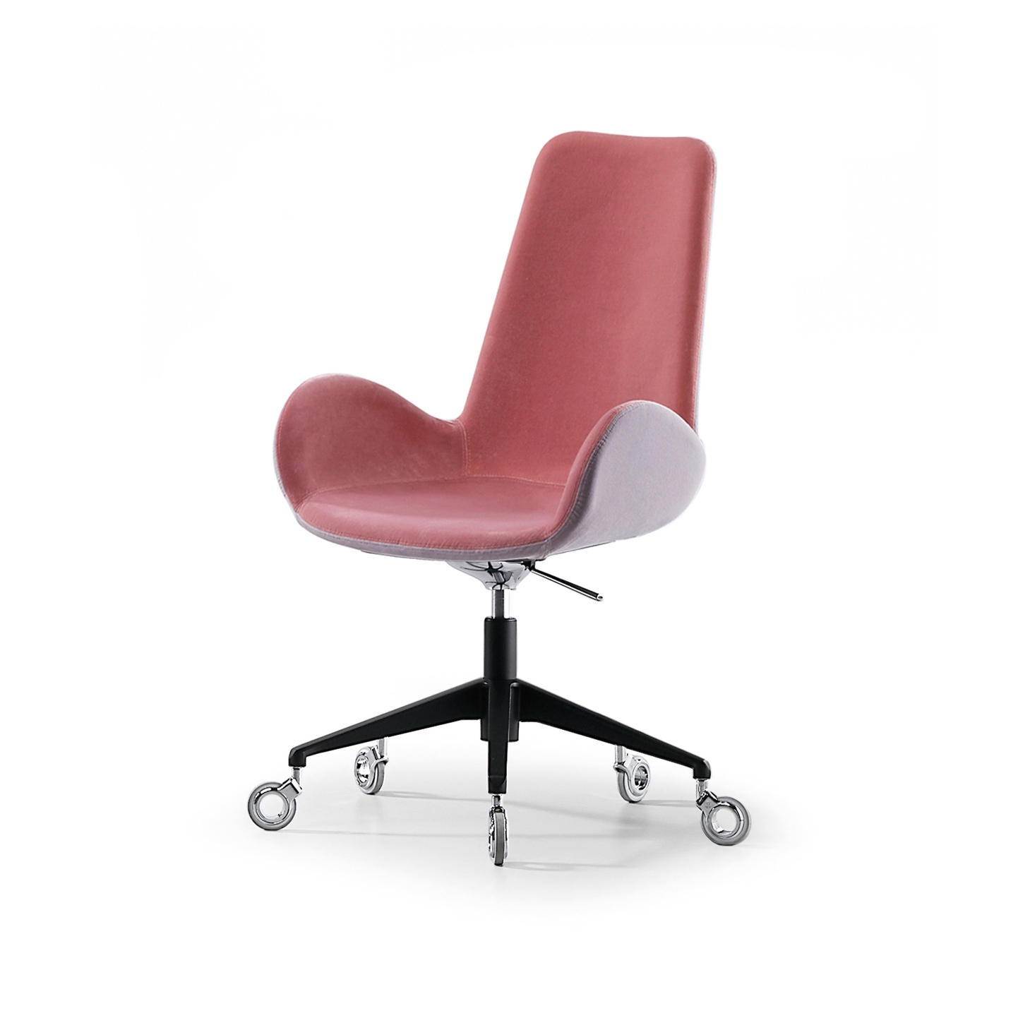 Display product Dalia PA D from manufacturer Midj