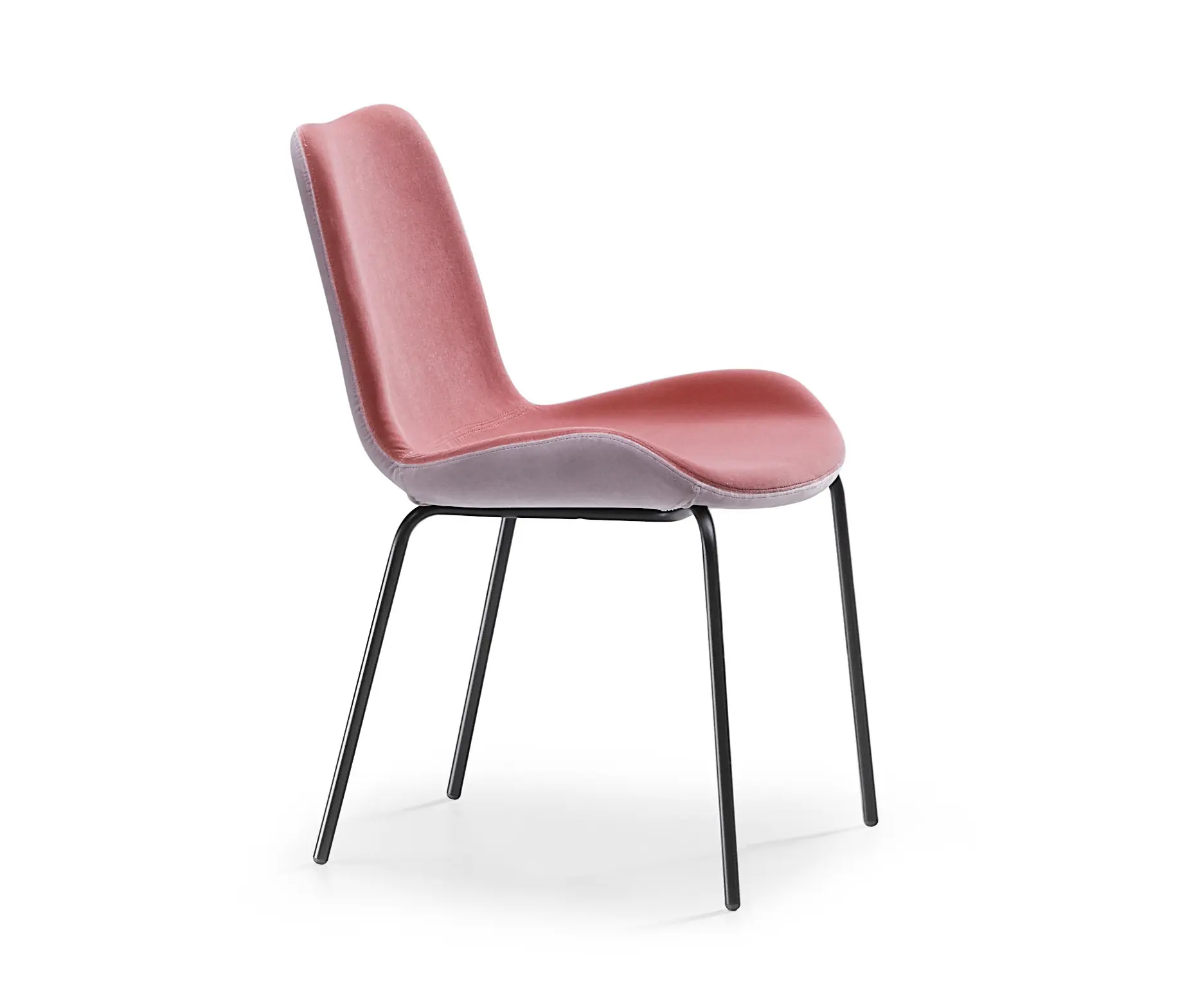 Midj - Dalia S MT