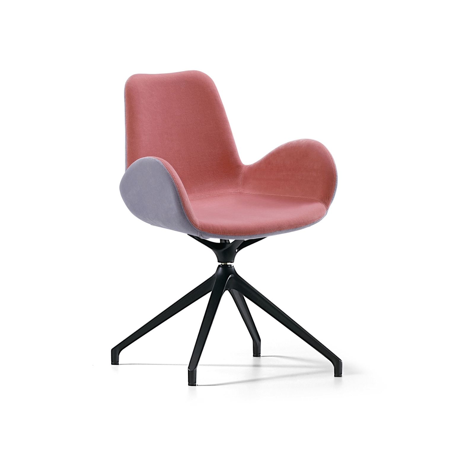 Mostra il prodotto Dalia PB X del produttore Midj