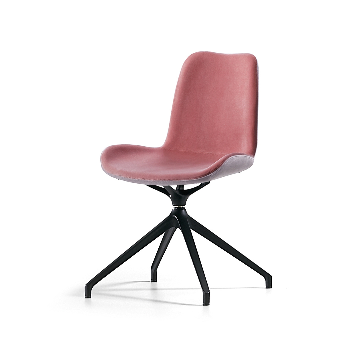 Mostra il prodotto Dalia S X del produttore Midj