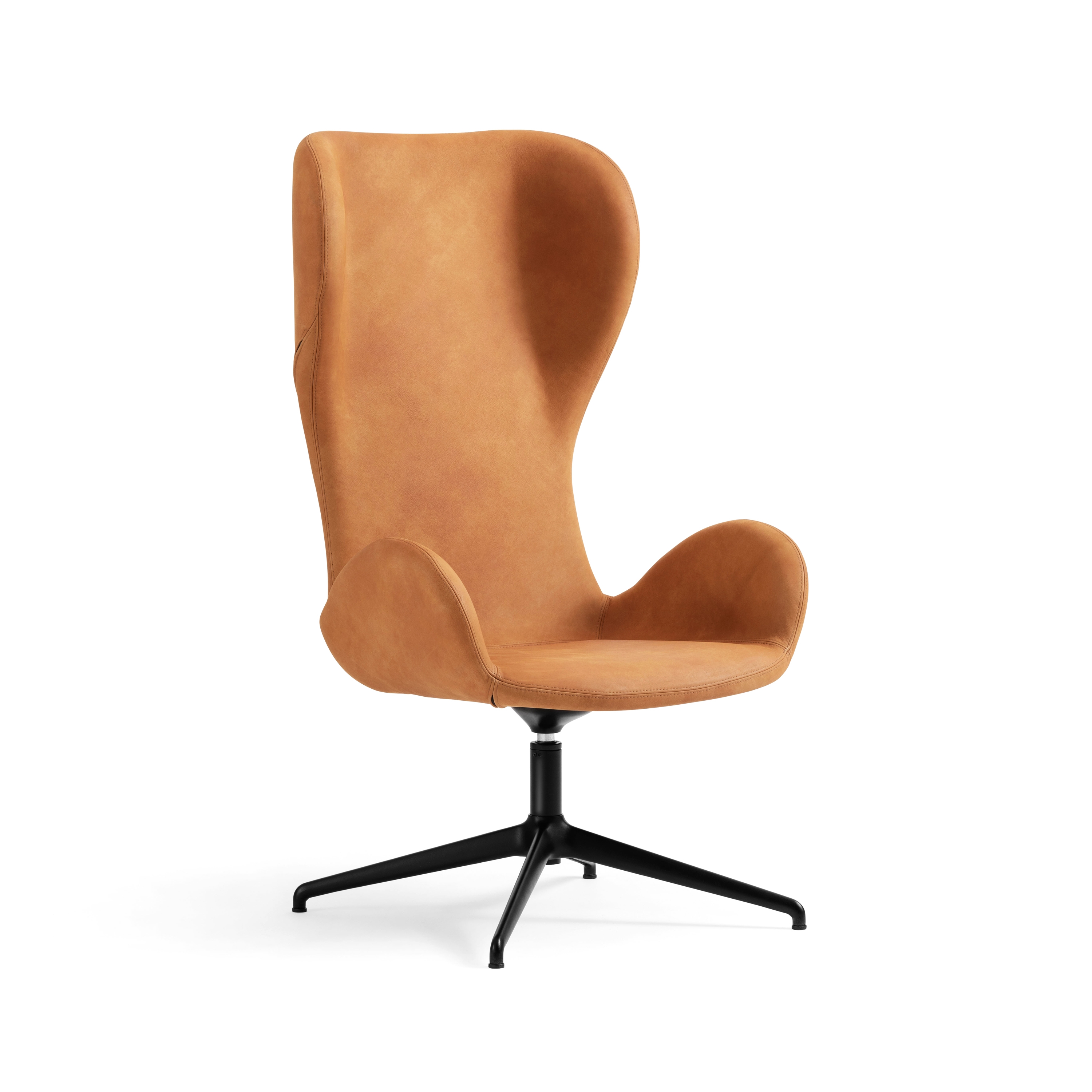 Produkt Dalia PE GX TS des Herstellers Midj anzeigen