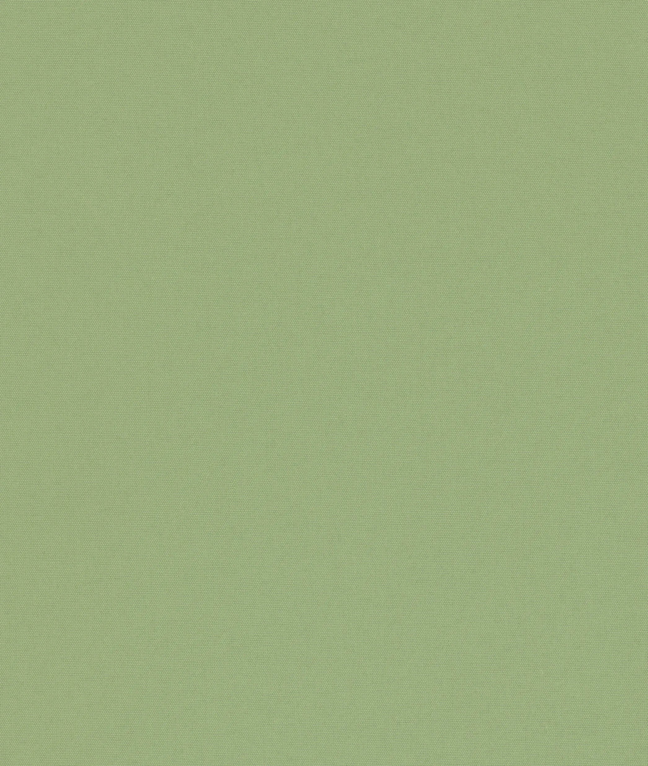 drapilux - drapilux 117E6