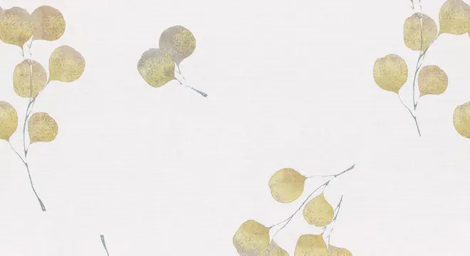 drapilux - drapilux 80901