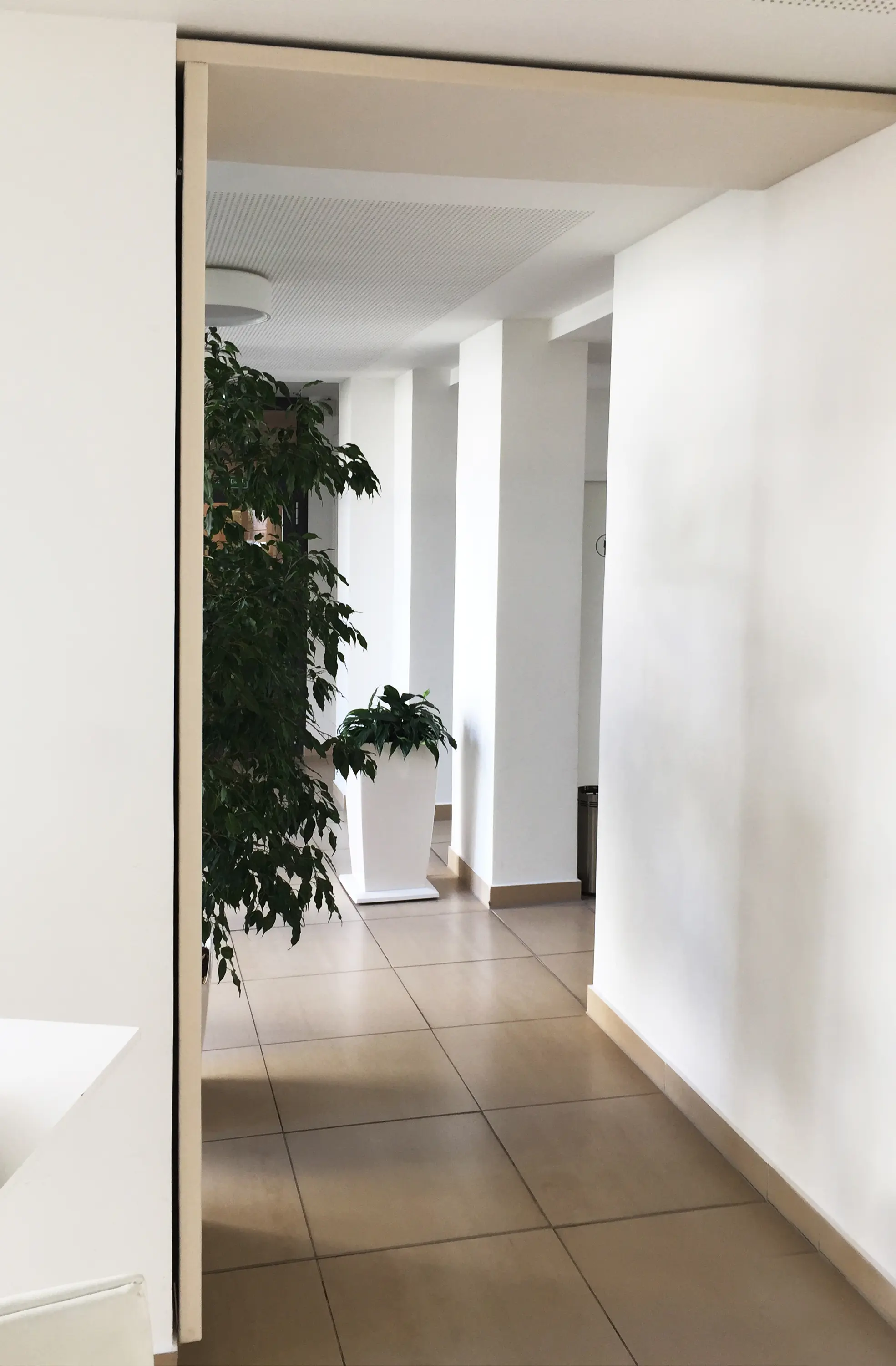 apn acoustic solutions - APN Vinta F circle