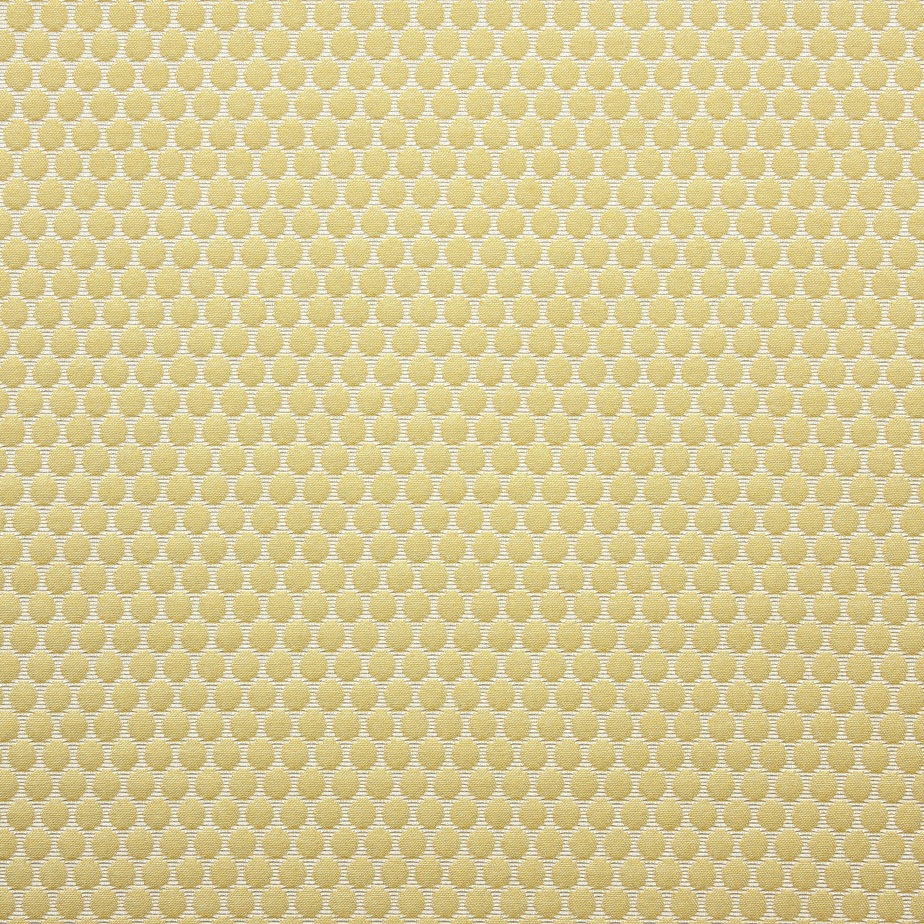 Bubble 6